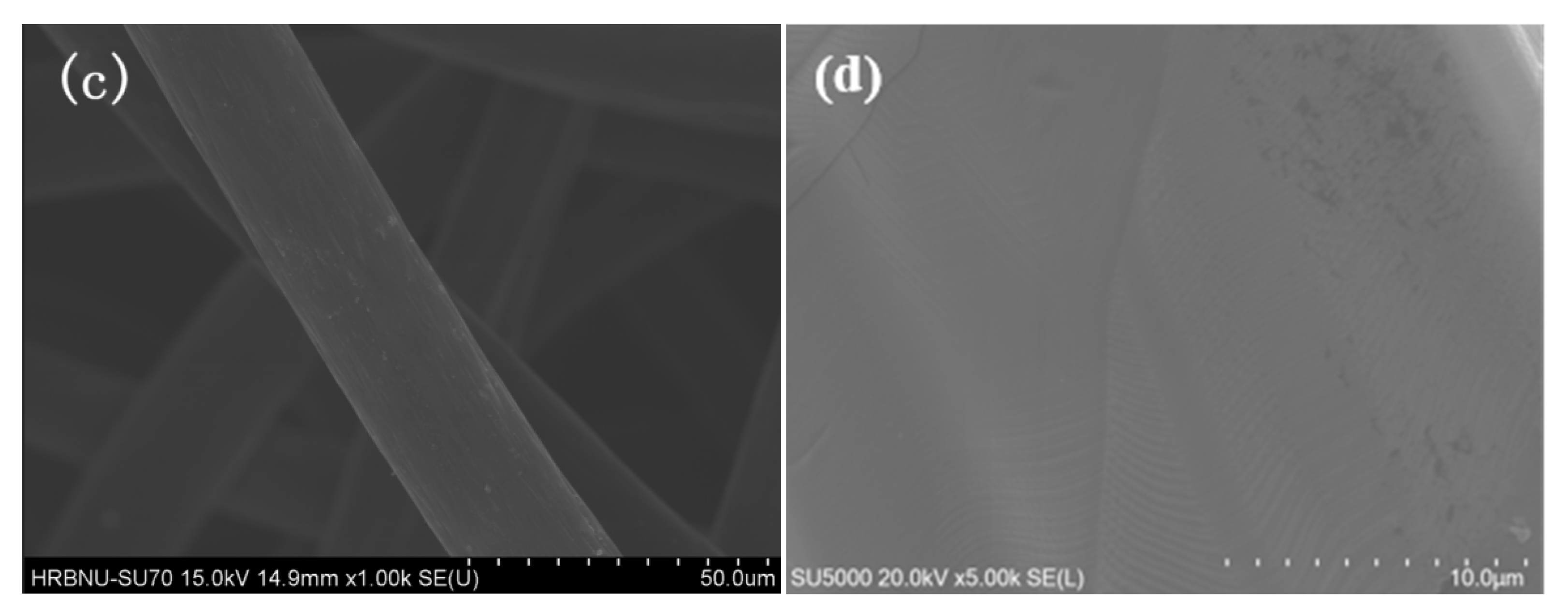 Coatings 15 00776 g002b