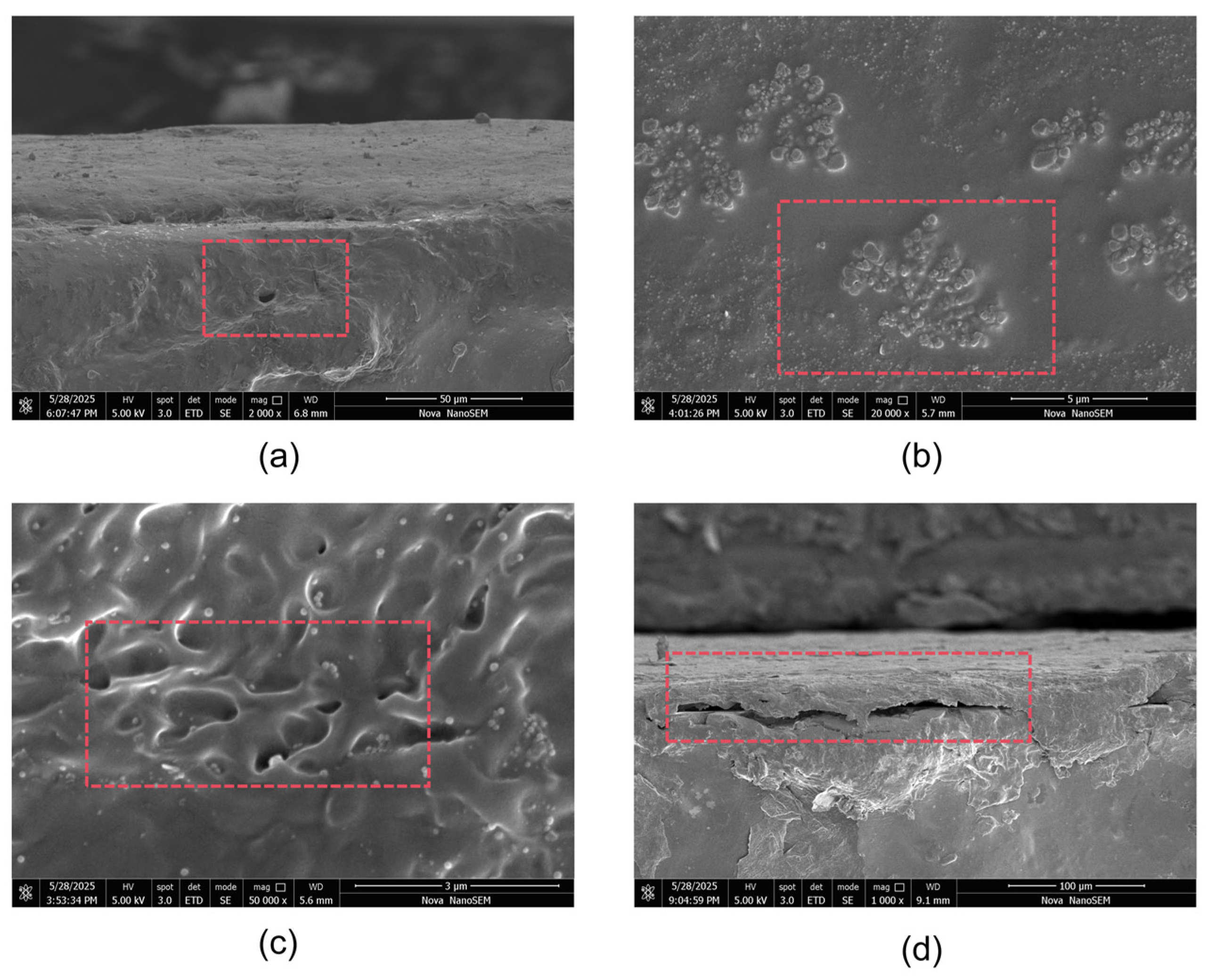 Coatings 15 00777 g009