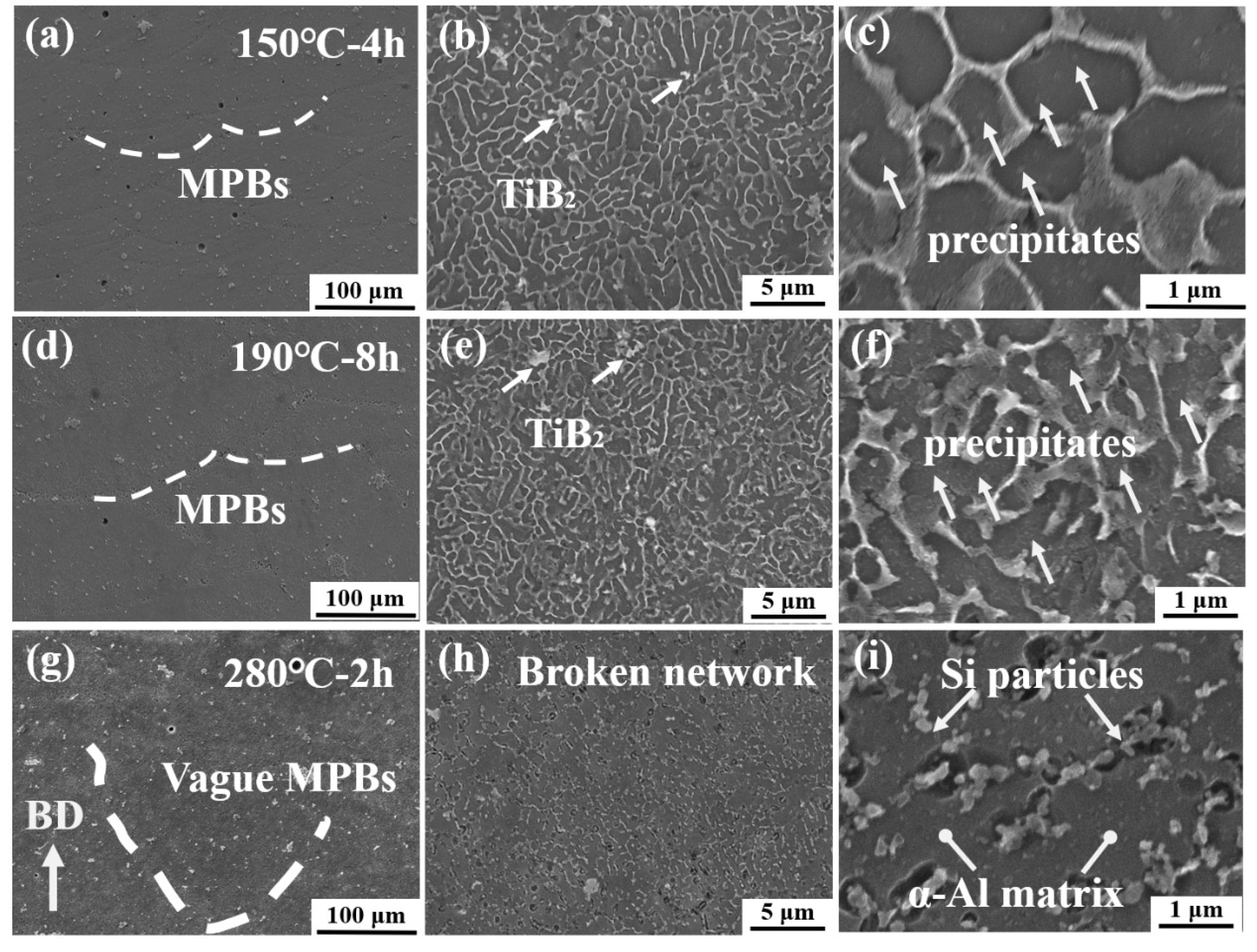 Coatings 15 00780 g007