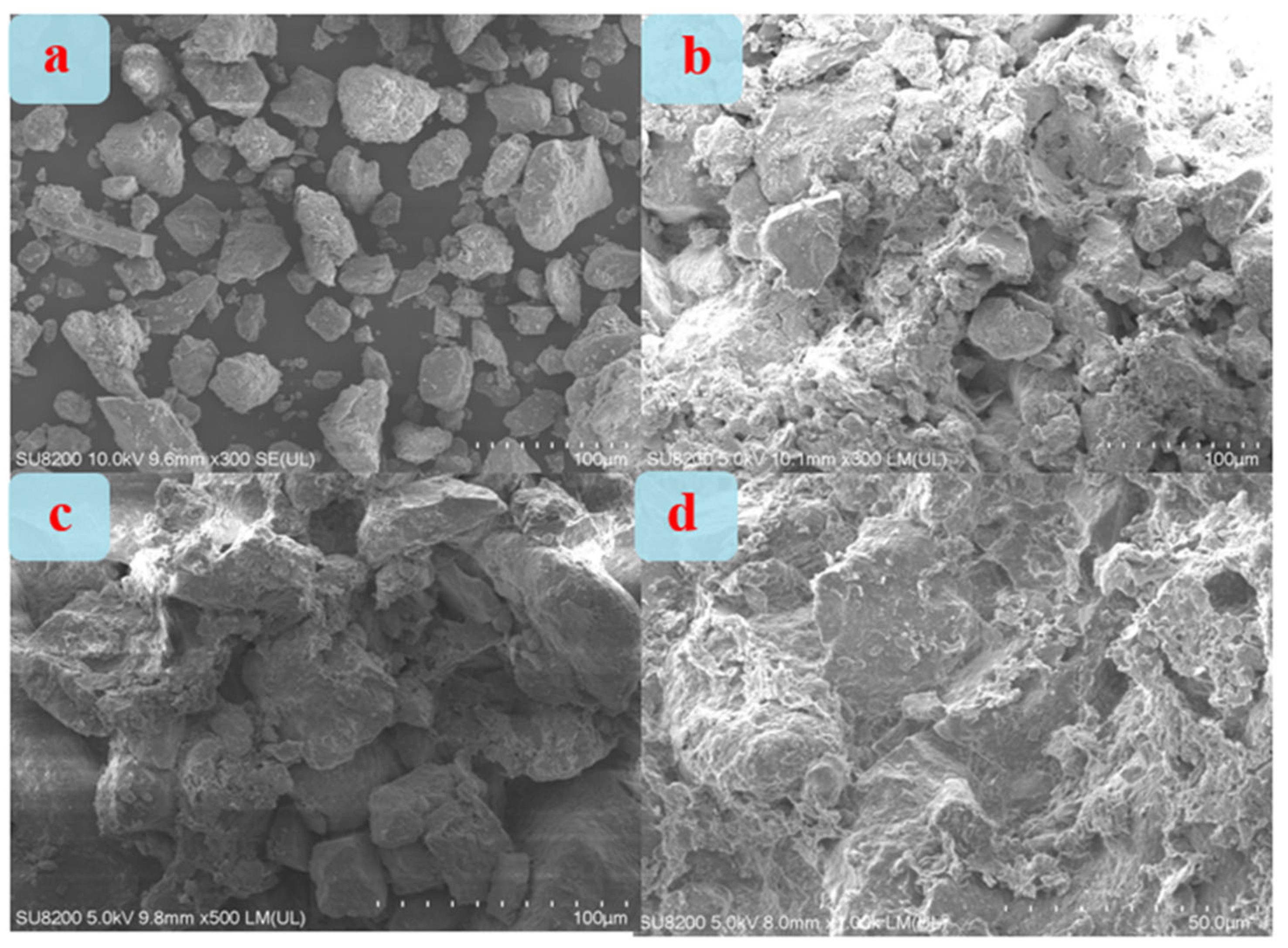 Coatings 15 00782 g007