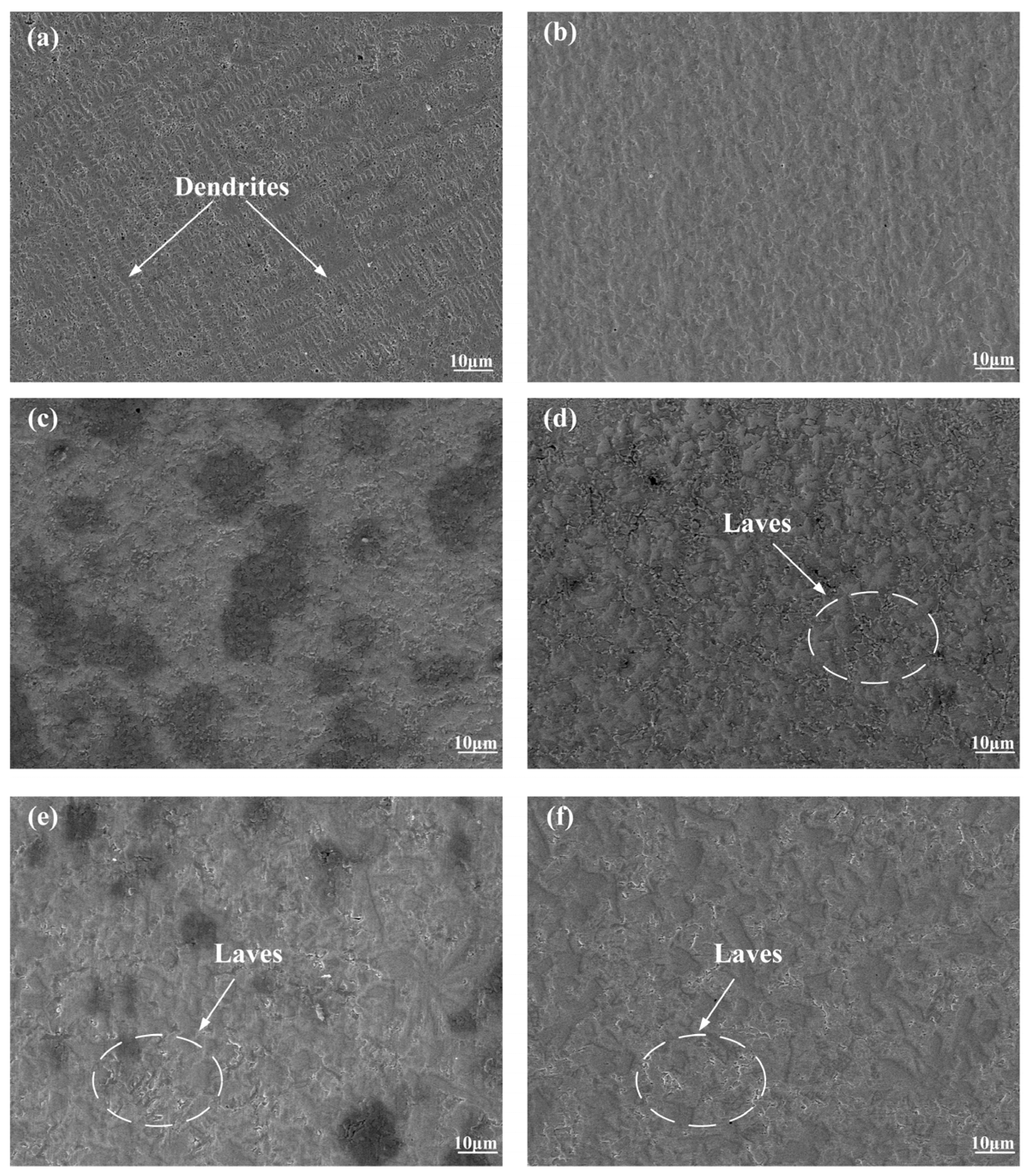 Coatings 15 00783 g005
