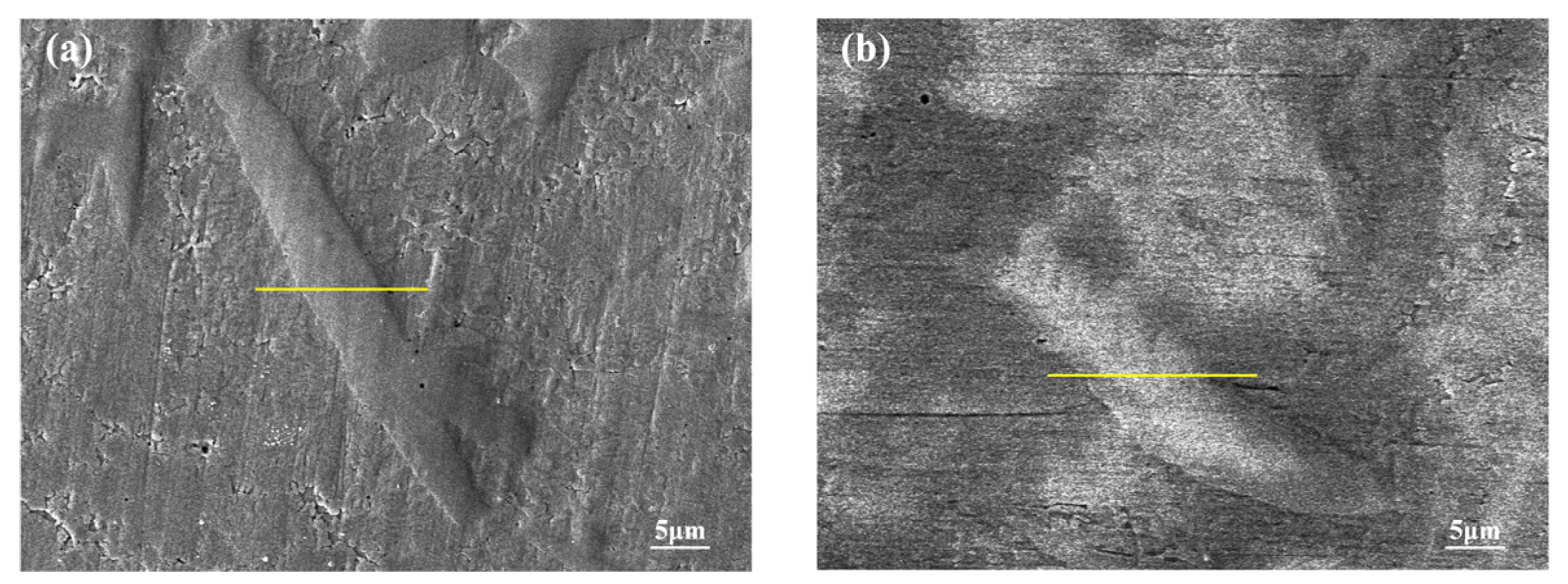 Coatings 15 00783 g008