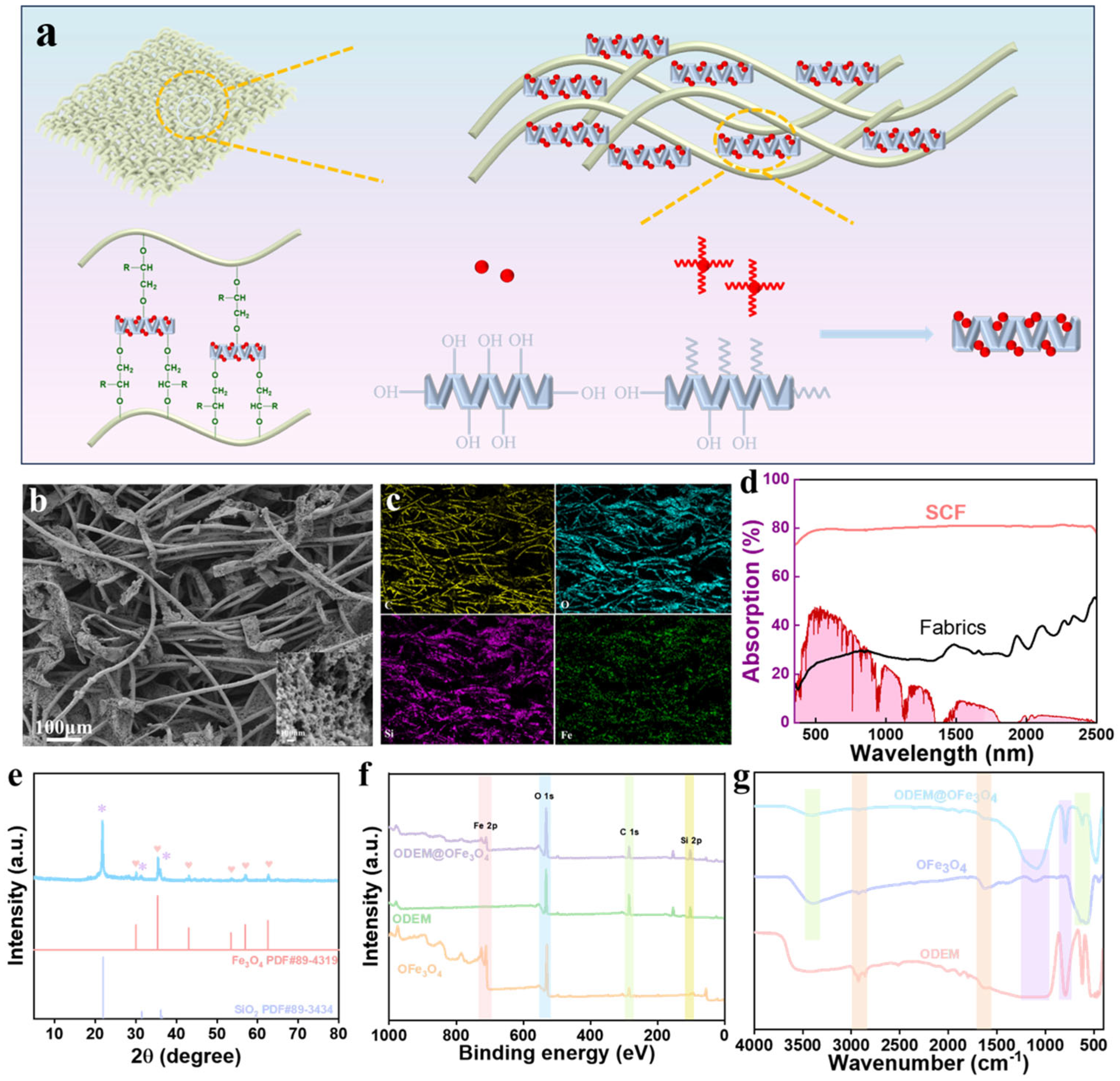 Coatings 15 00786 g001