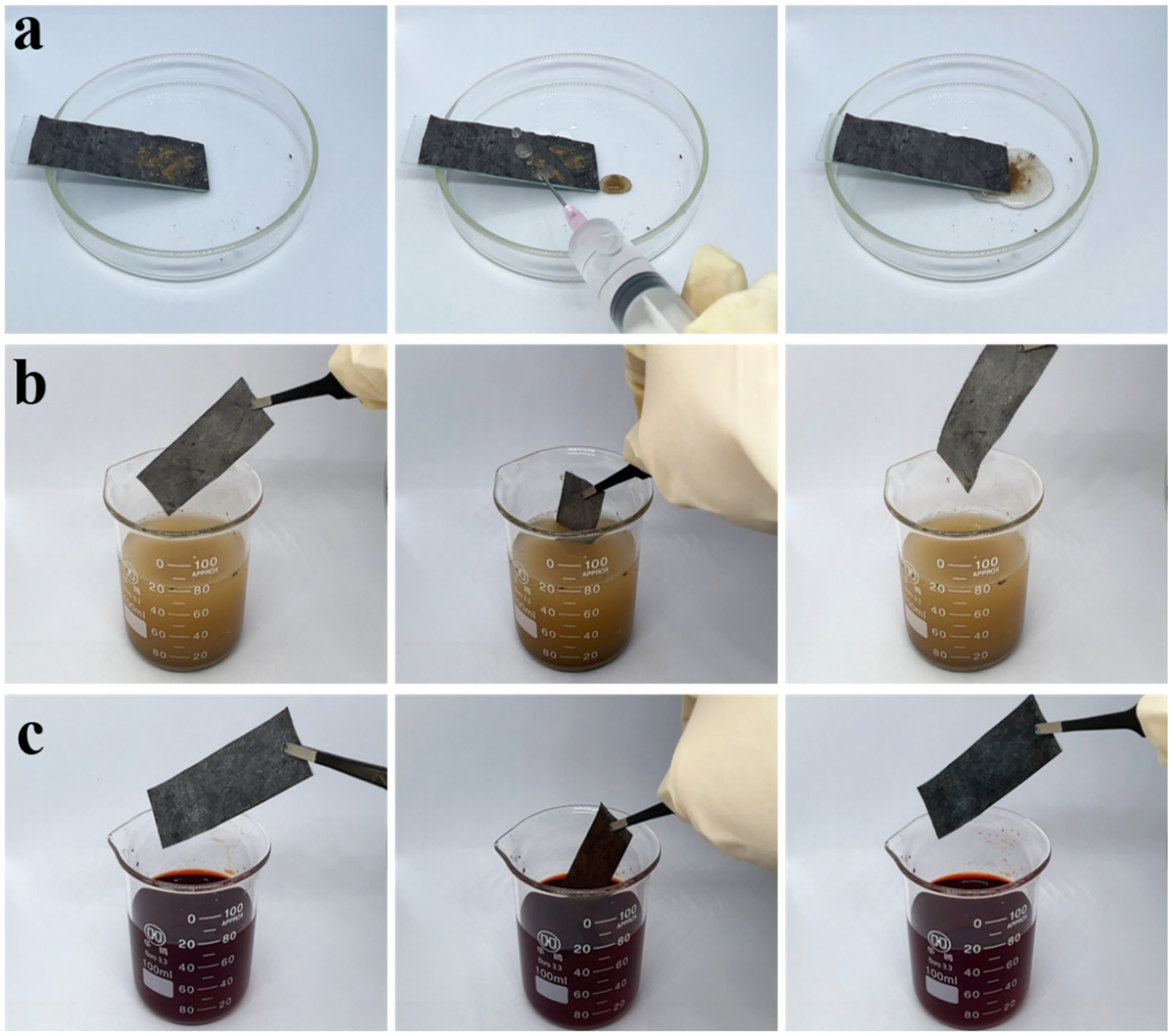 Coatings 15 00786 g003