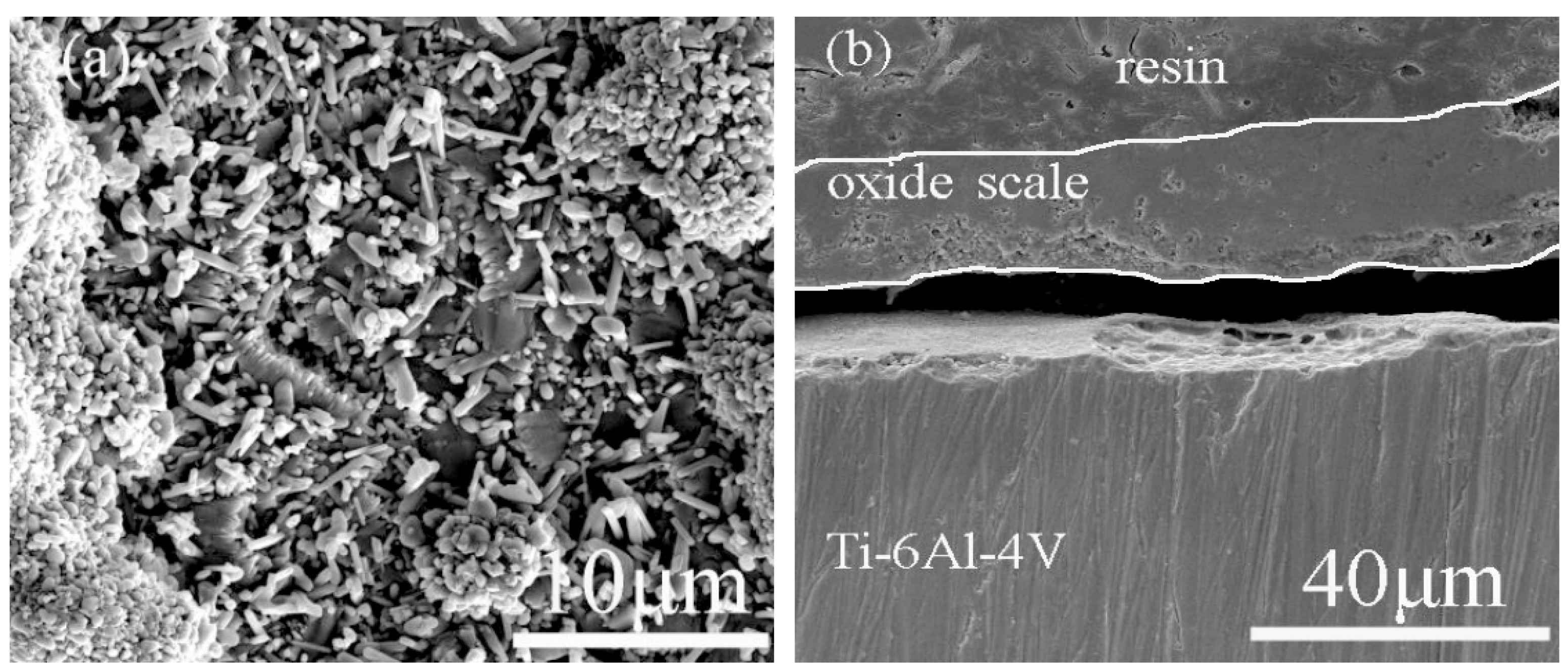 Coatings 15 00792 g006