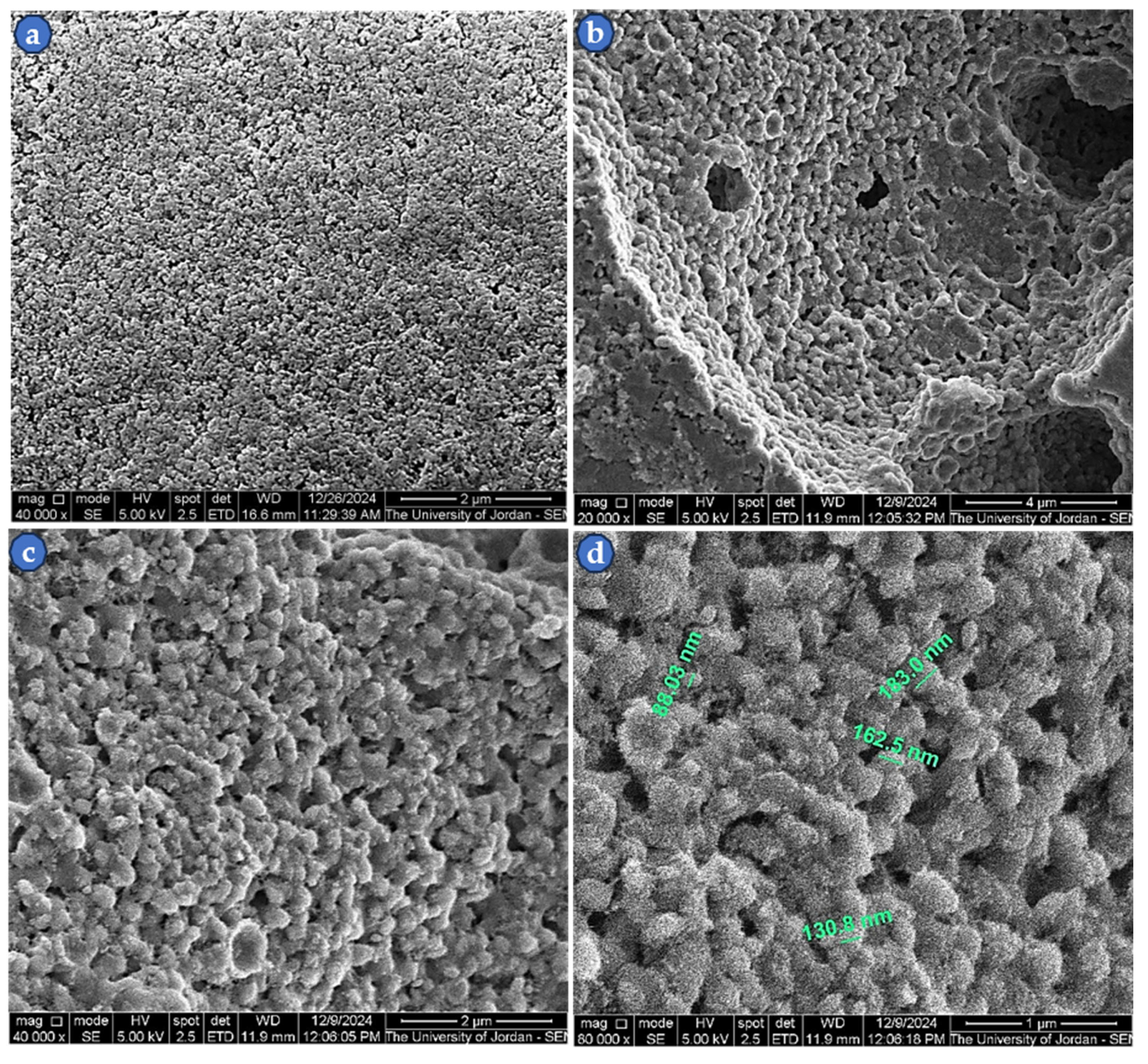 Coatings 15 00796 g006