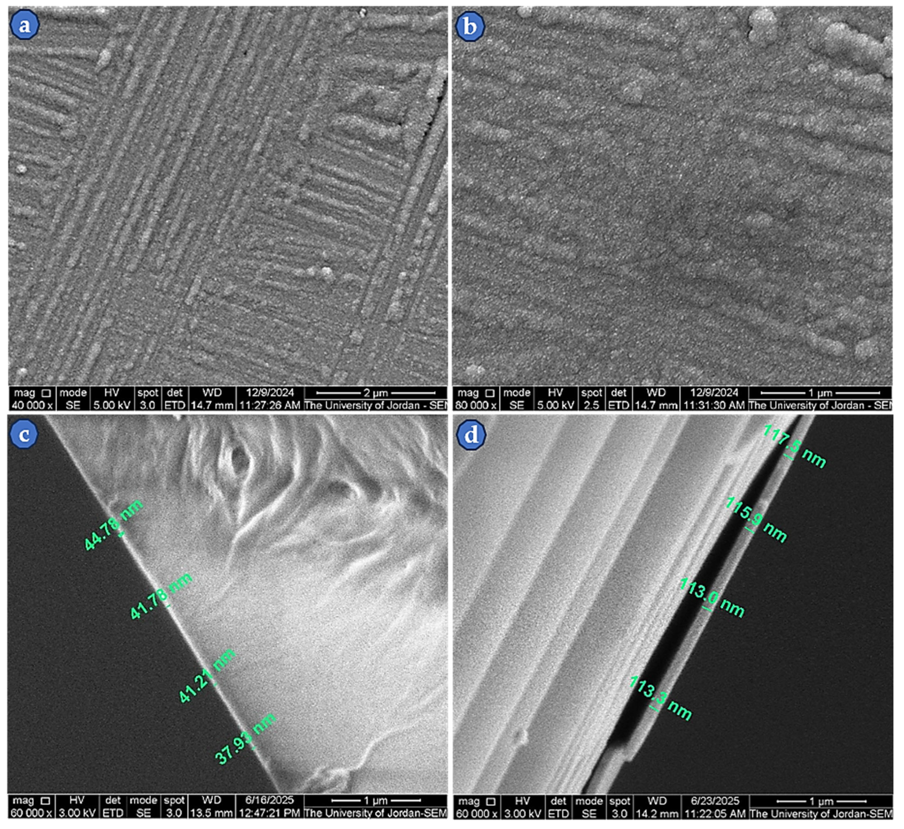 Coatings 15 00796 g007