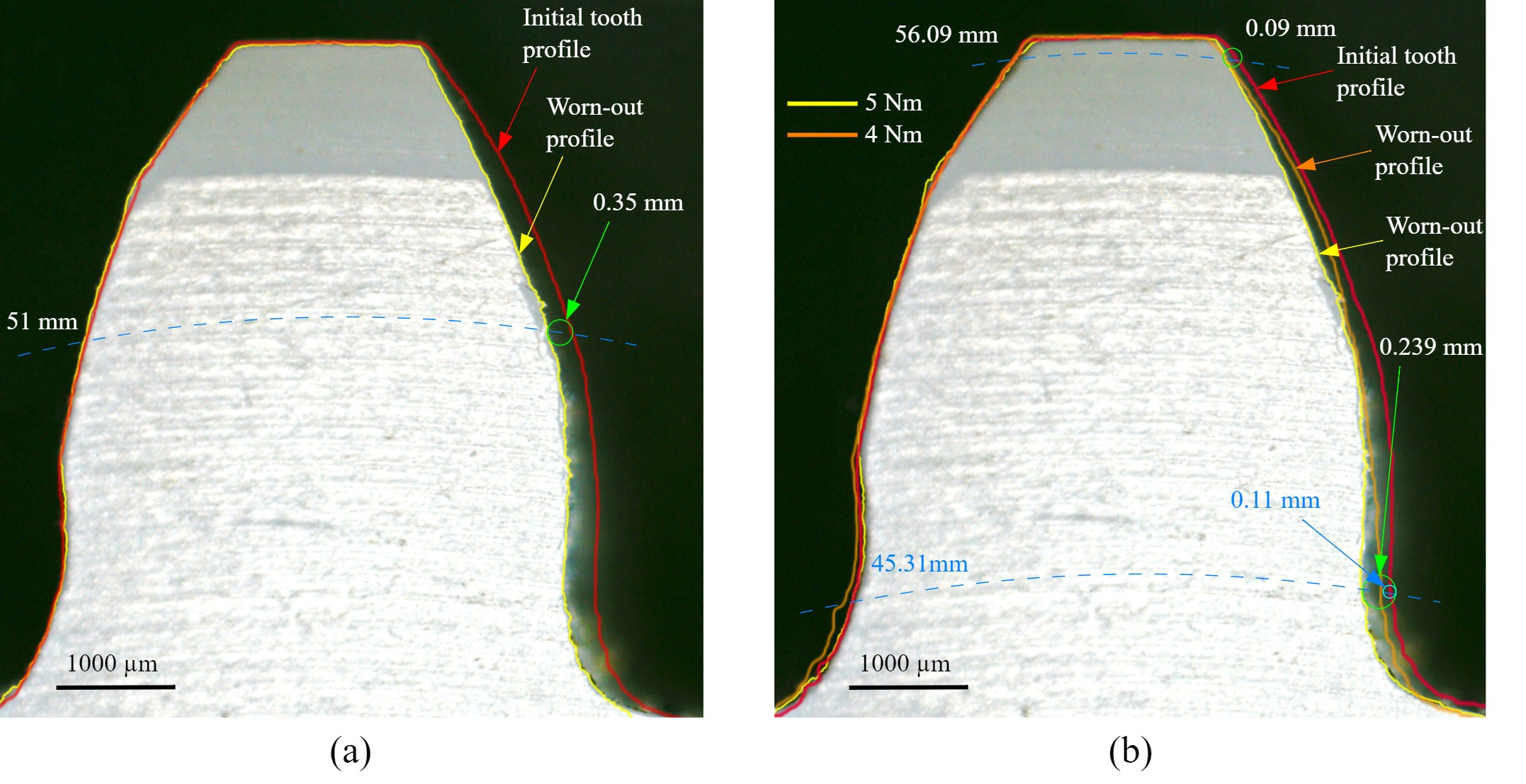 Coatings 15 00800 g006