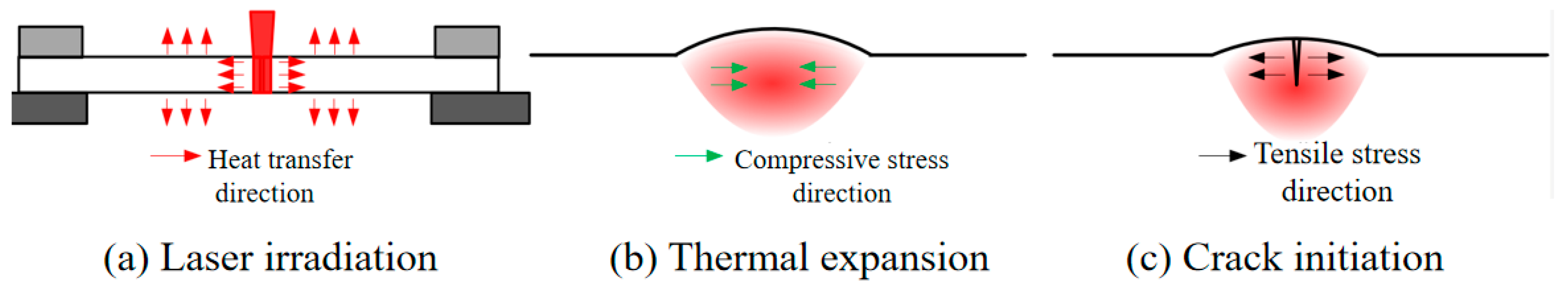 Coatings 15 00802 g001