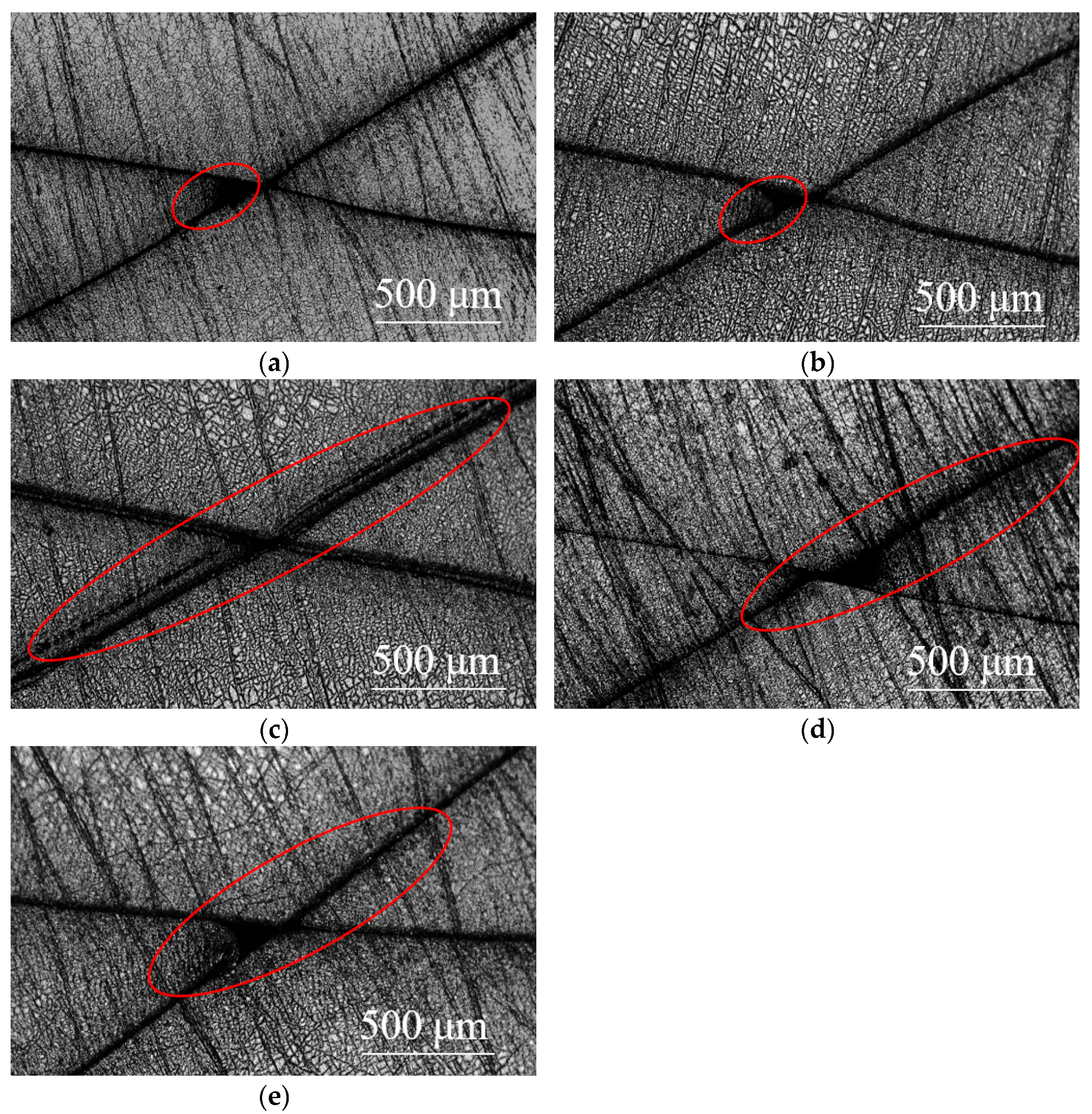 Coatings 15 00809 g009