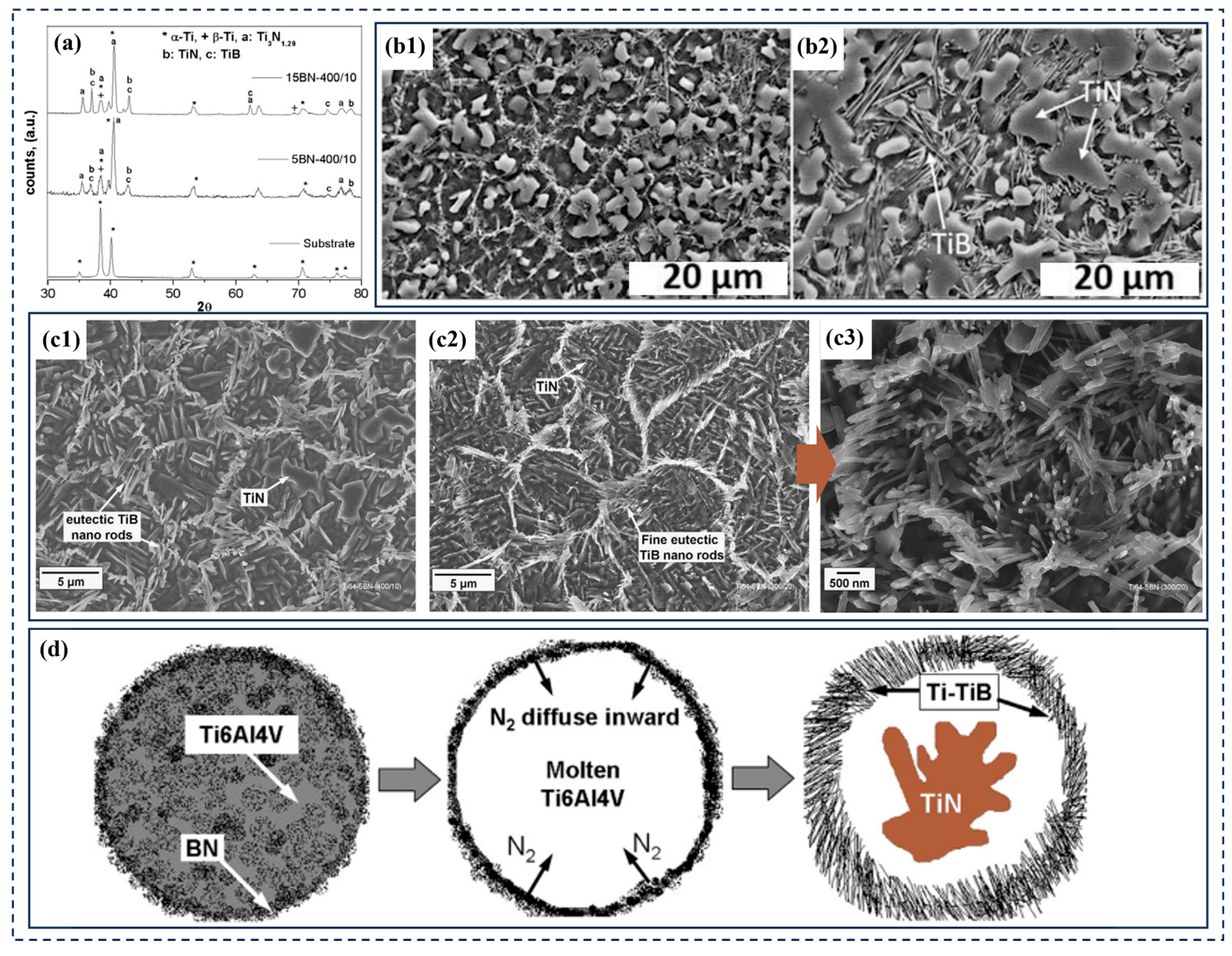 Coatings 15 00815 g012
