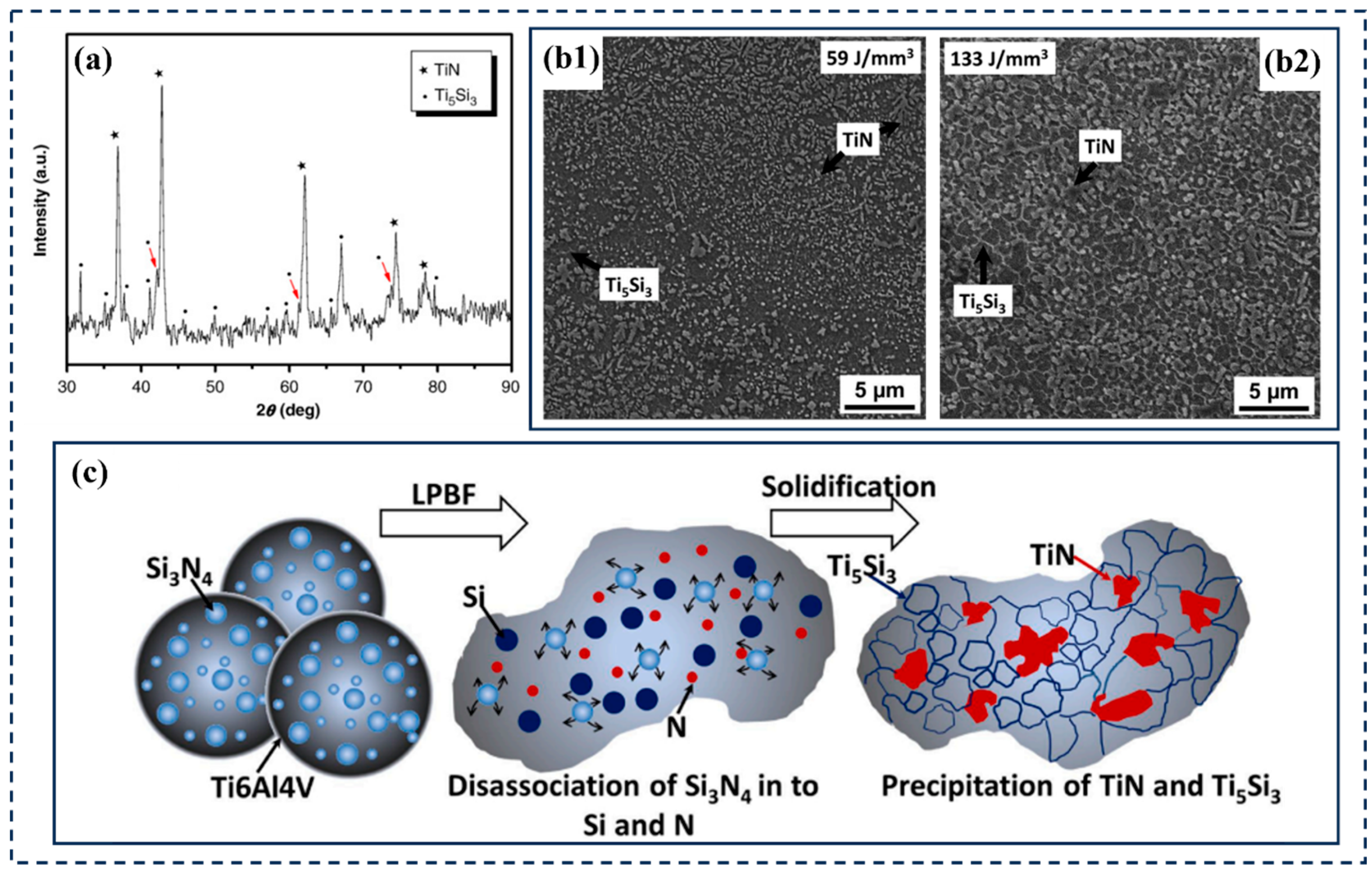 Coatings 15 00815 g014