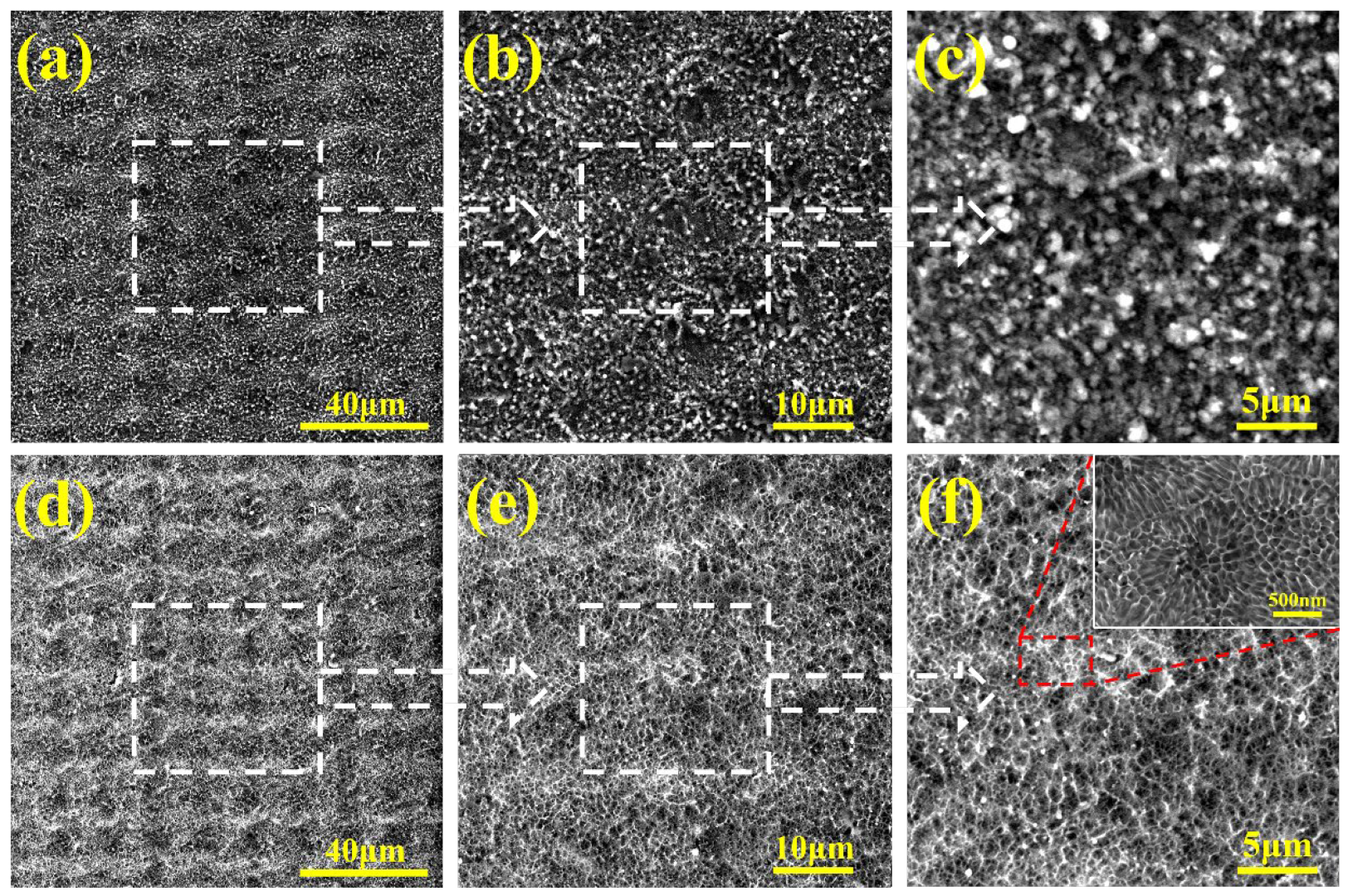 Coatings 15 00816 g002