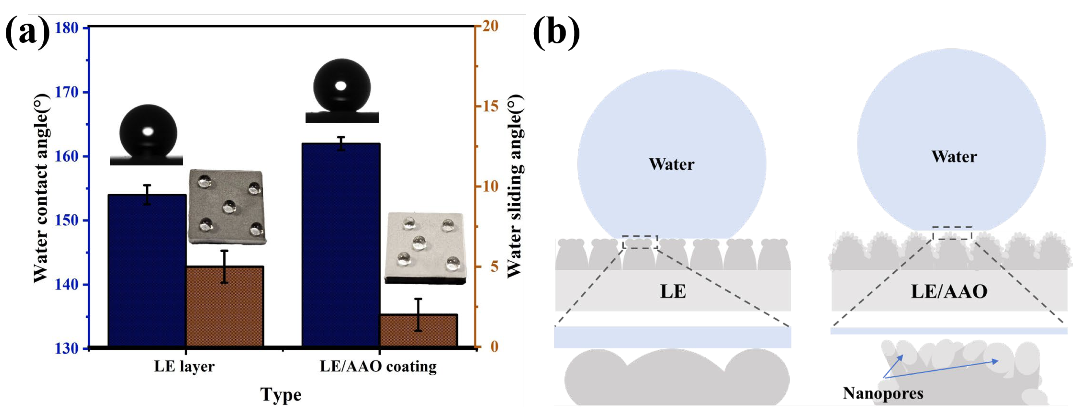 Coatings 15 00816 g004