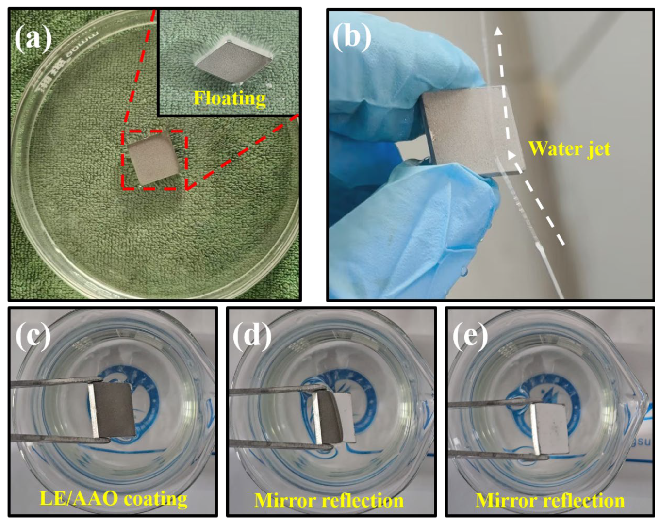 Coatings 15 00816 g006