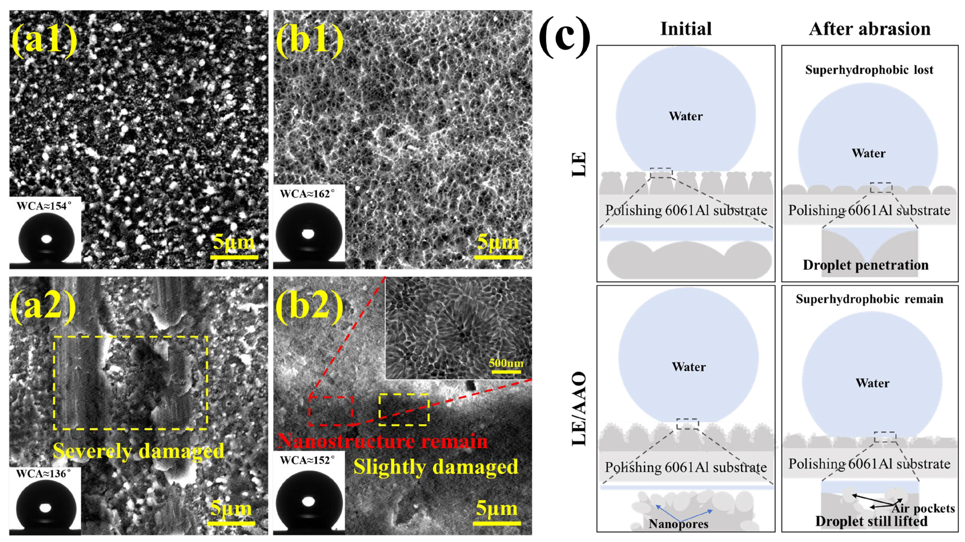 Coatings 15 00816 g010