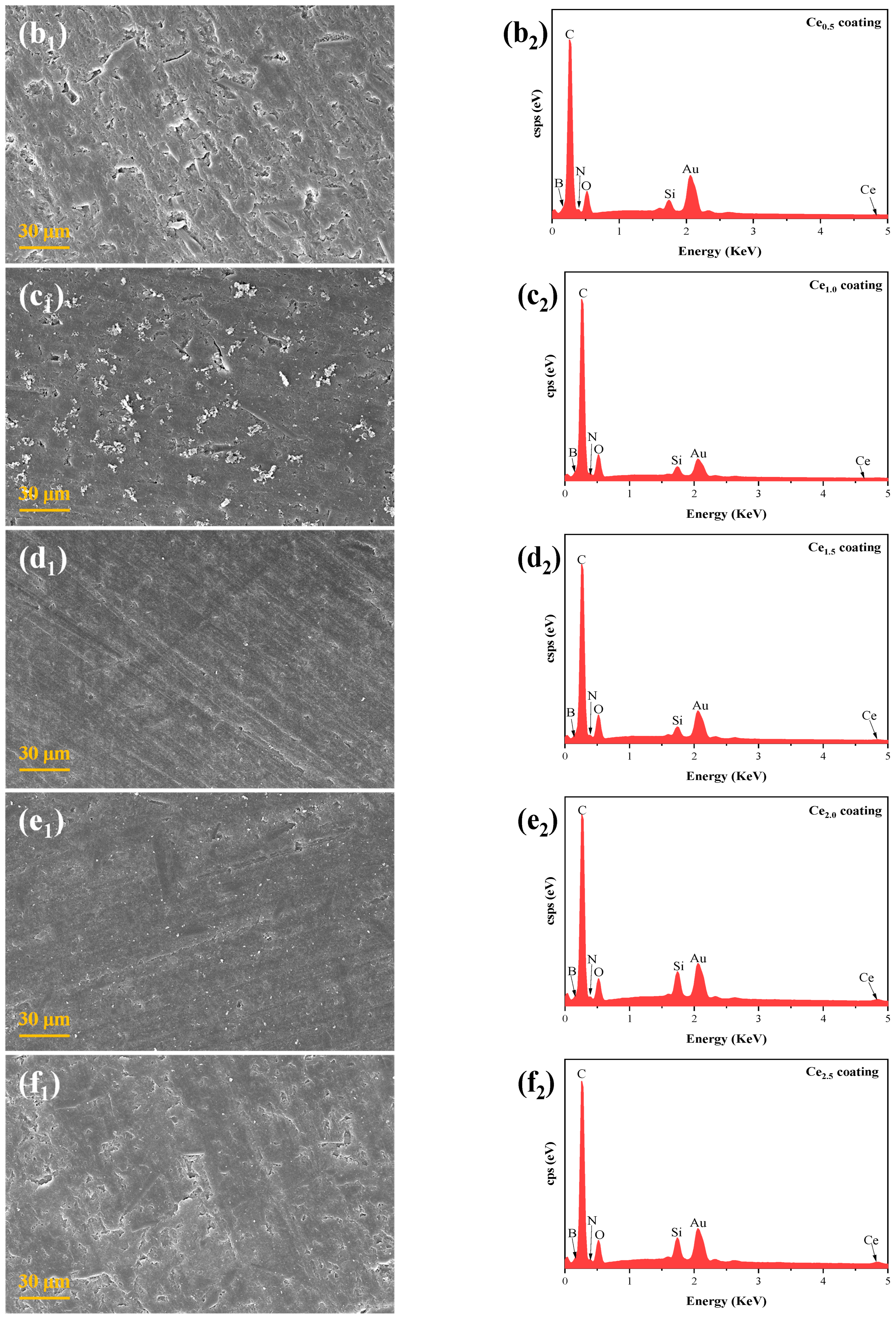 Coatings 15 00818 g003b
