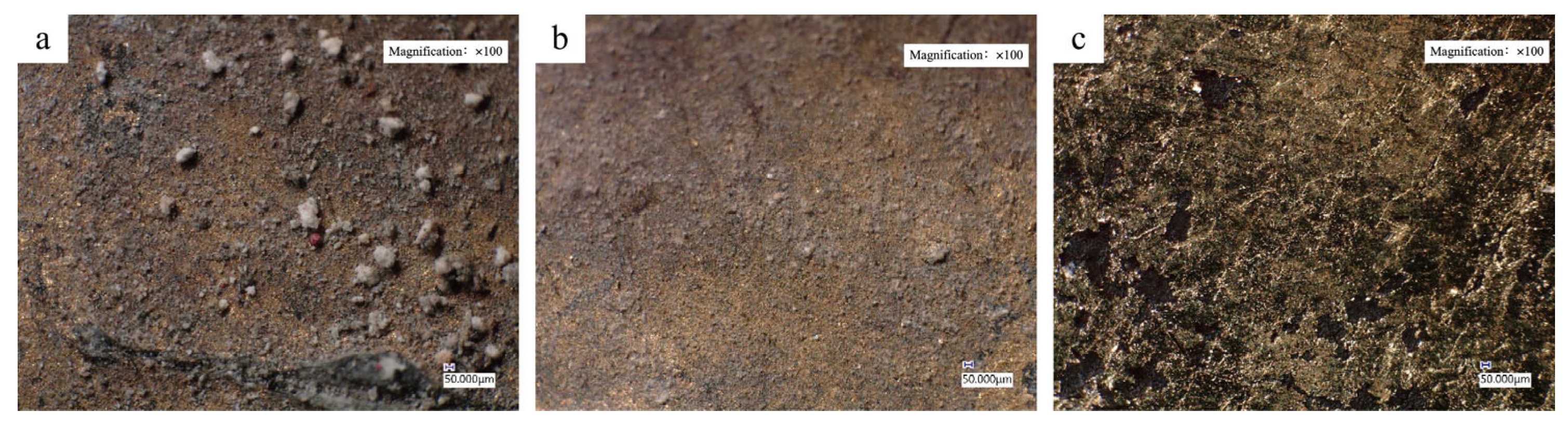 Coatings 15 00819 g012