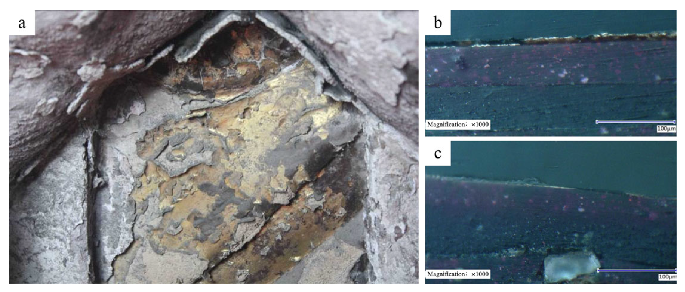 Coatings 15 00819 g013