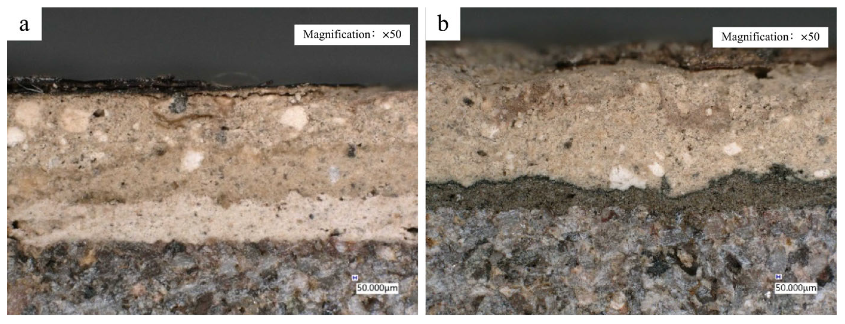 Coatings 15 00819 g016