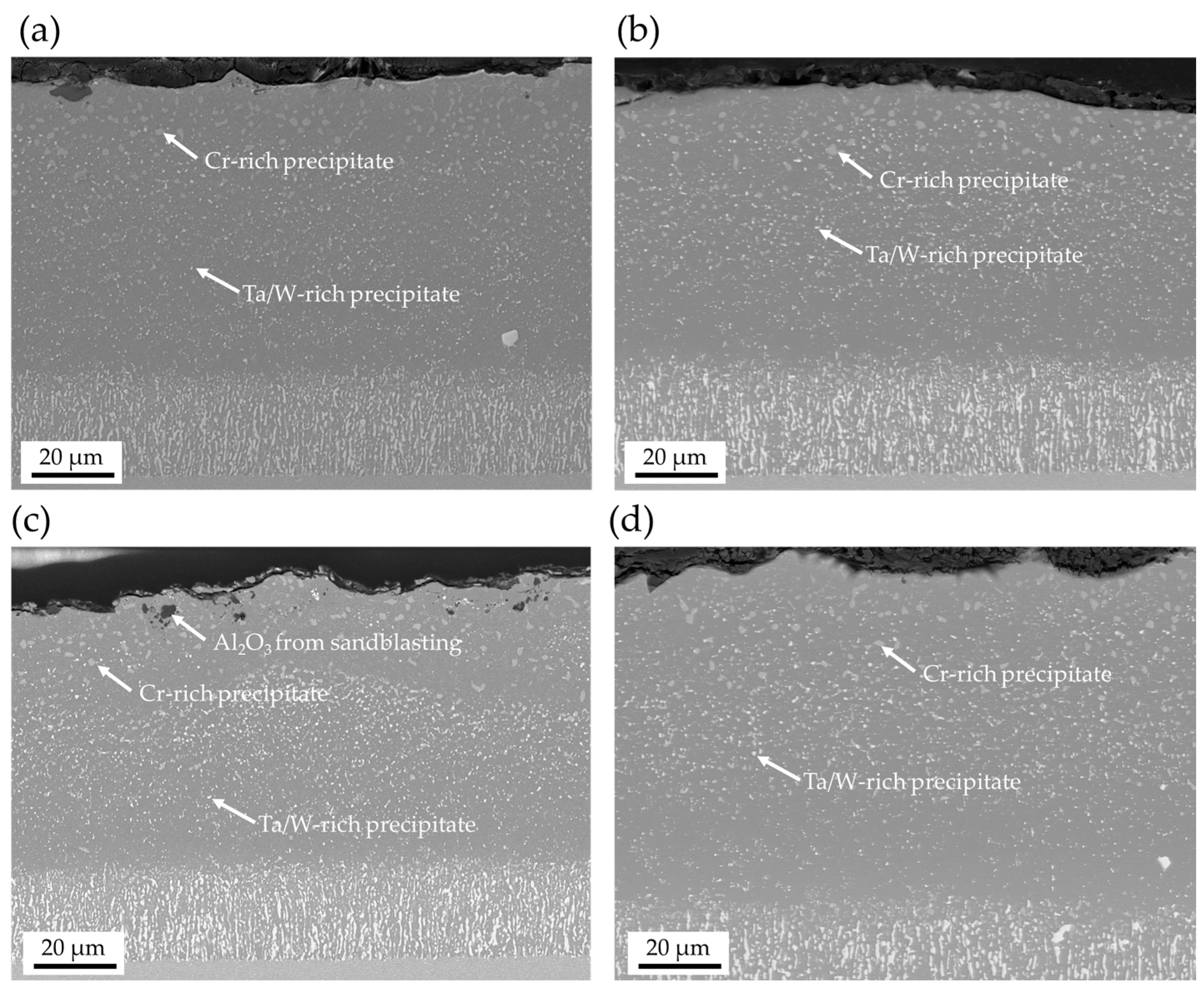 Coatings 15 00822 g004 Coatings 15 00822 g004