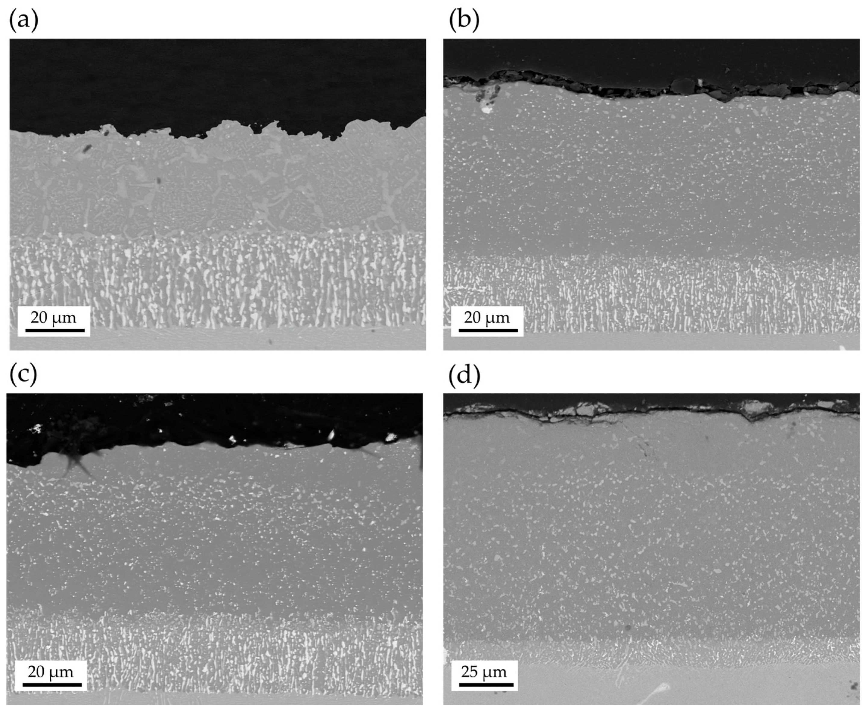 Coatings 15 00822 g007 Coatings 15 00822 g007