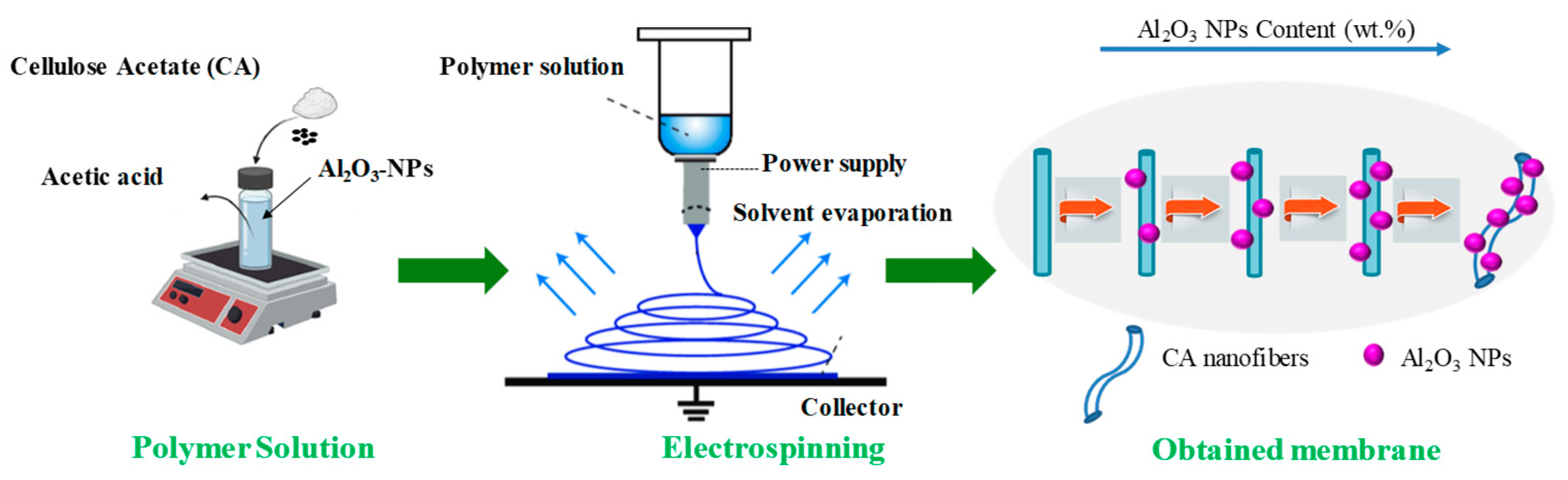 Coatings 15 00823 g001