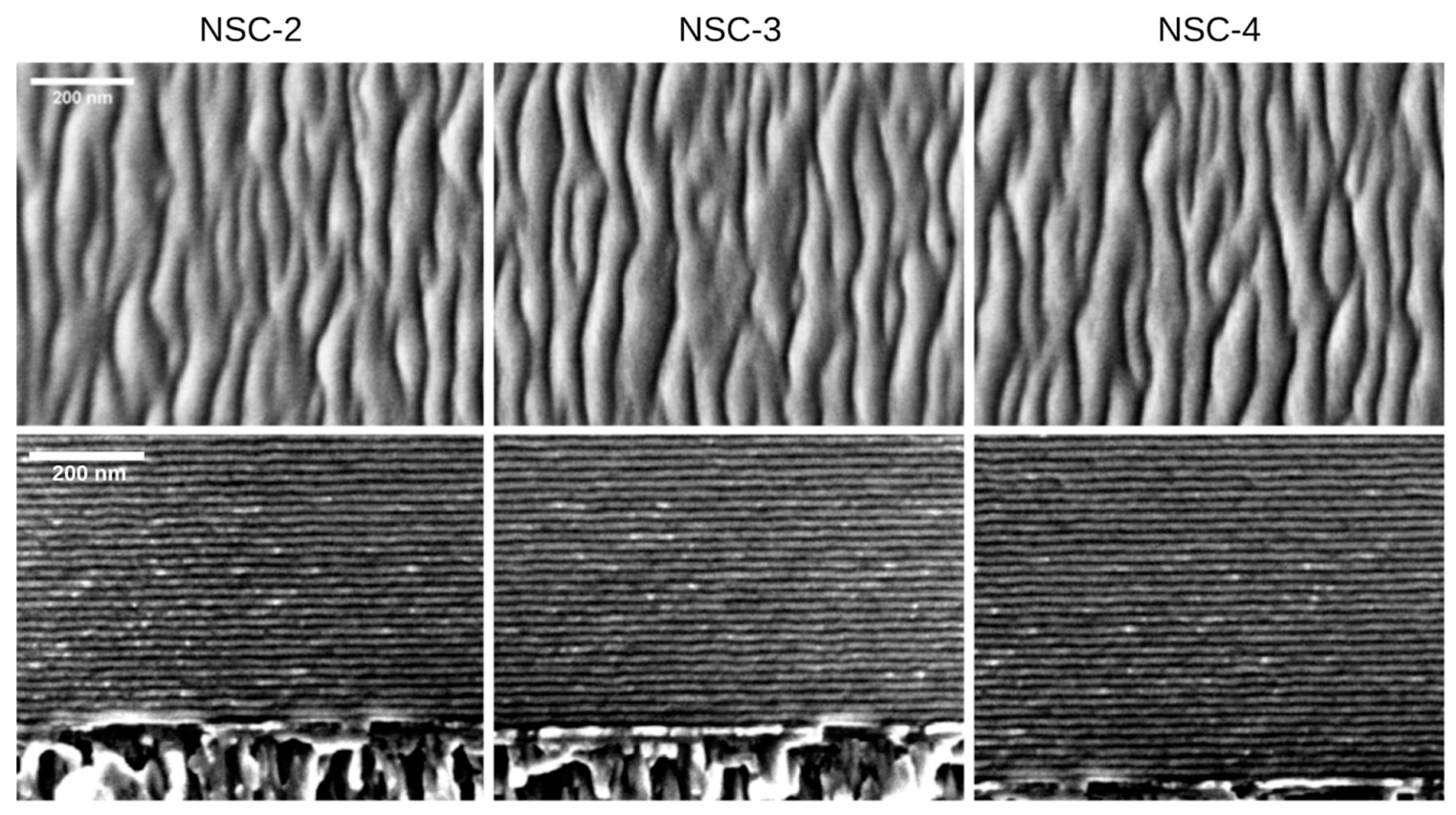 Coatings 15 00824 g002