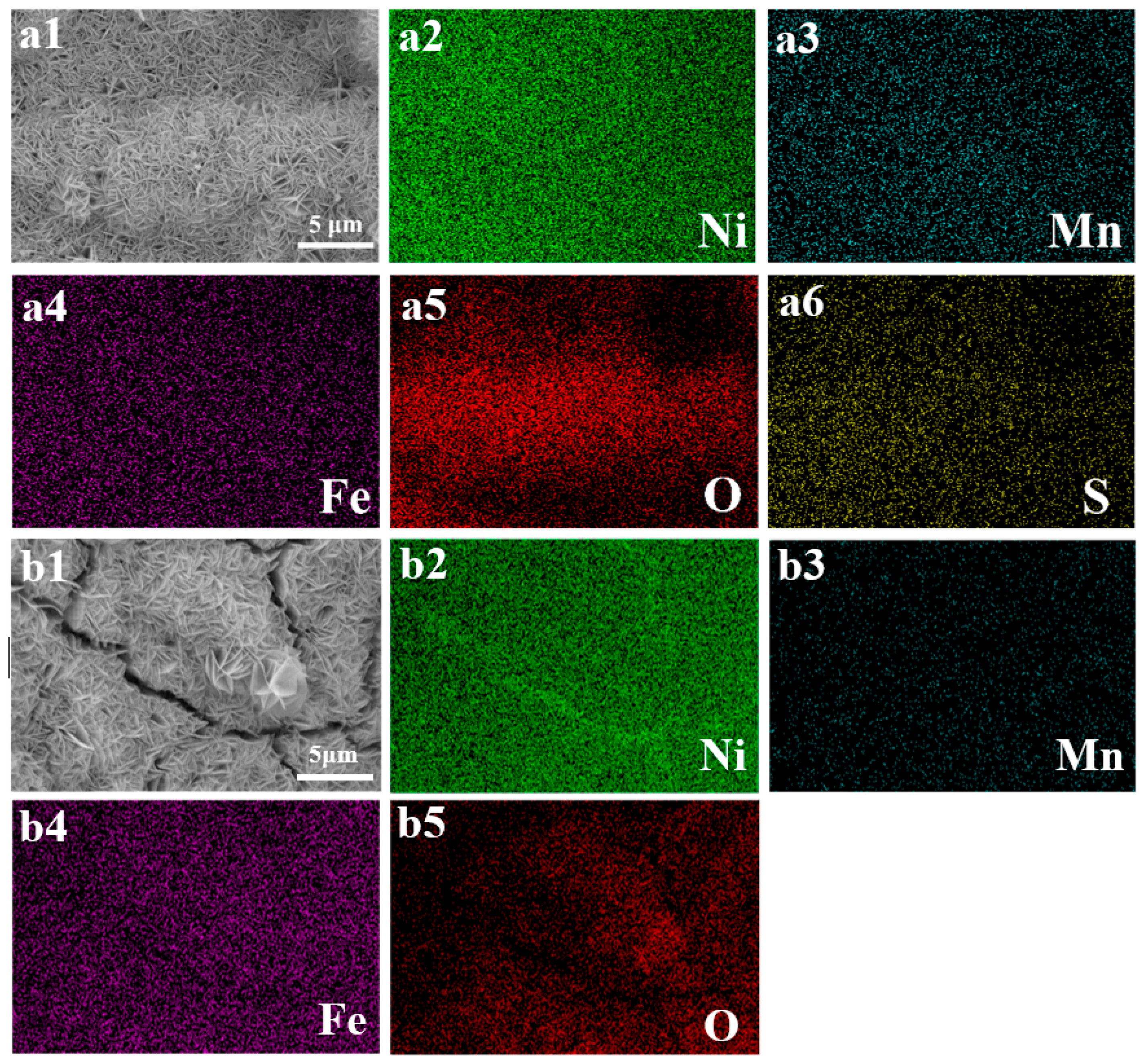 Coatings 15 00825 g003