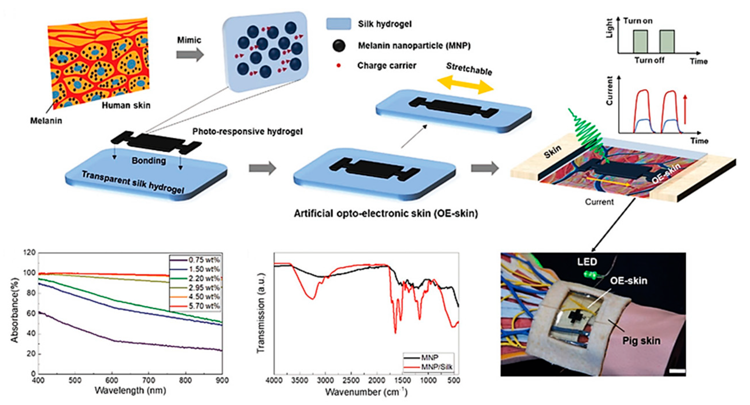 Coatings 15 00829 g005