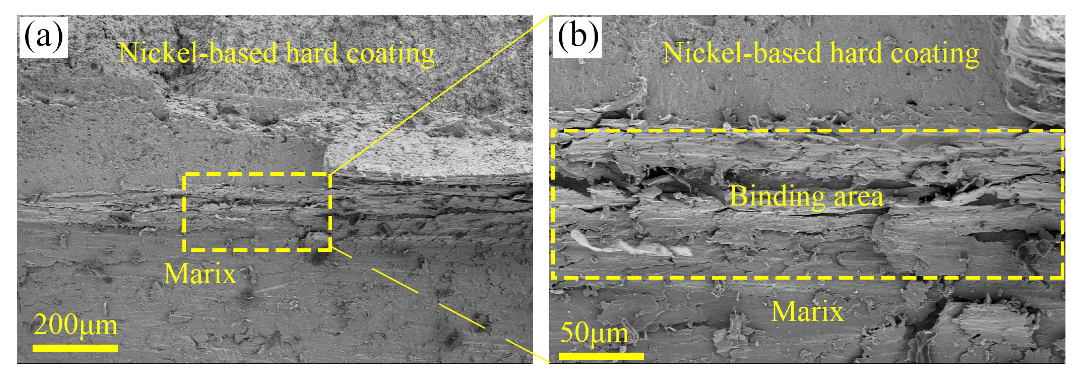 Coatings 15 00830 g005