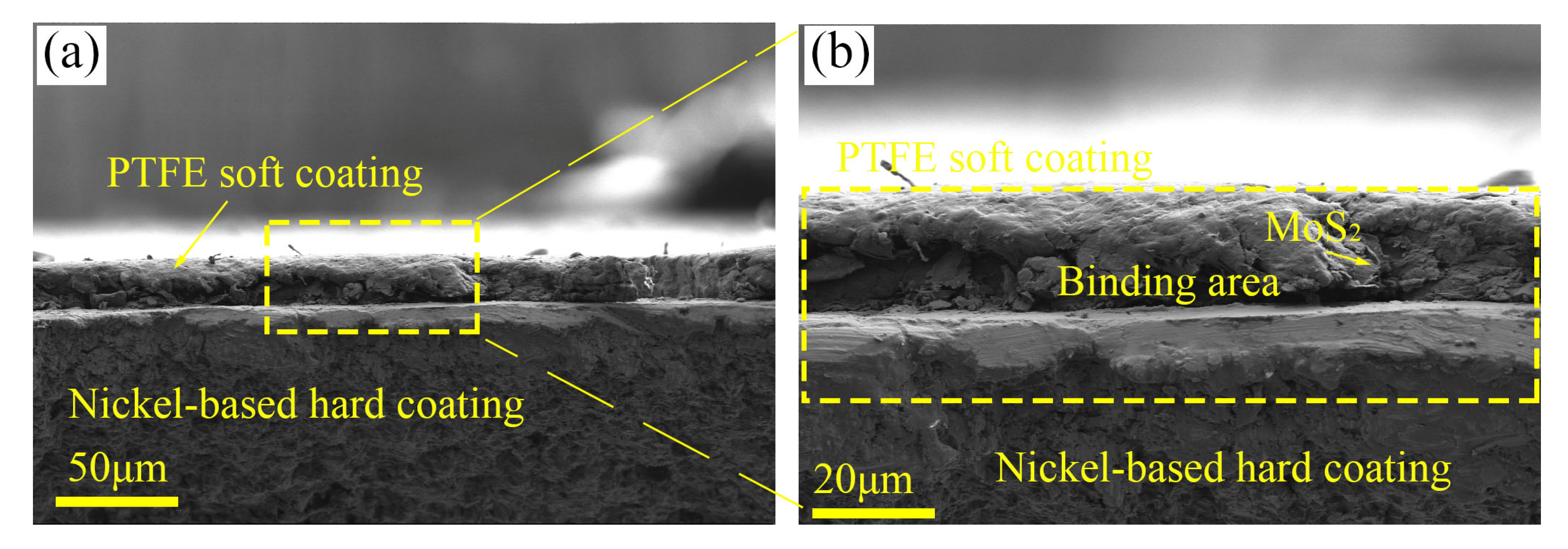 Coatings 15 00830 g007