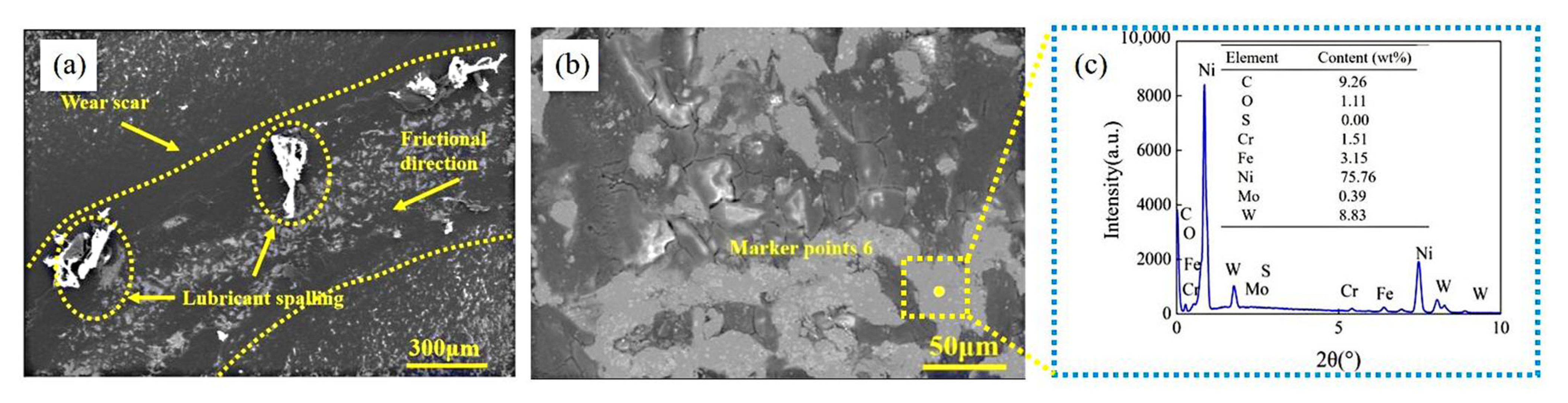 Coatings 15 00830 g015