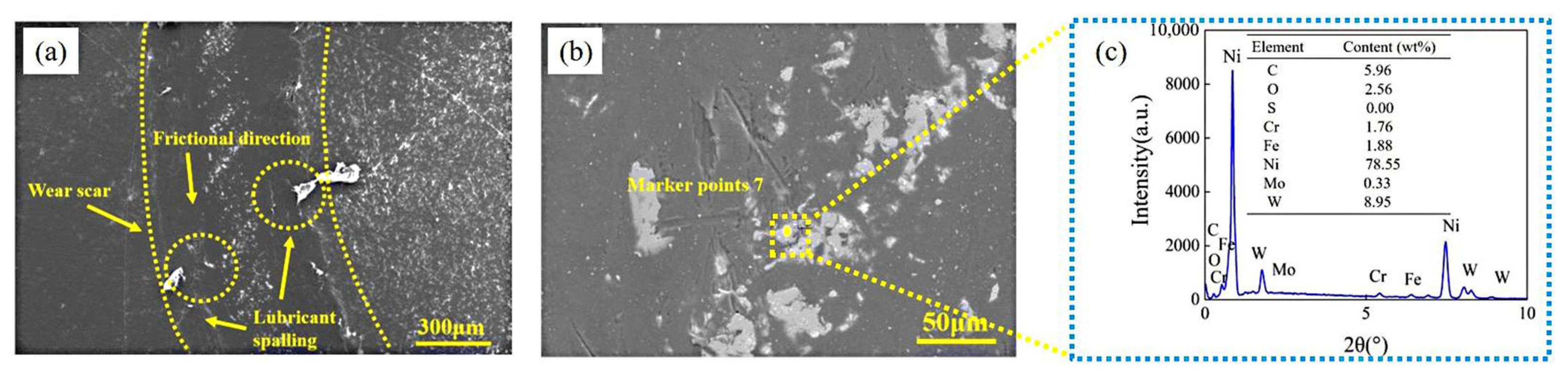 Coatings 15 00830 g016