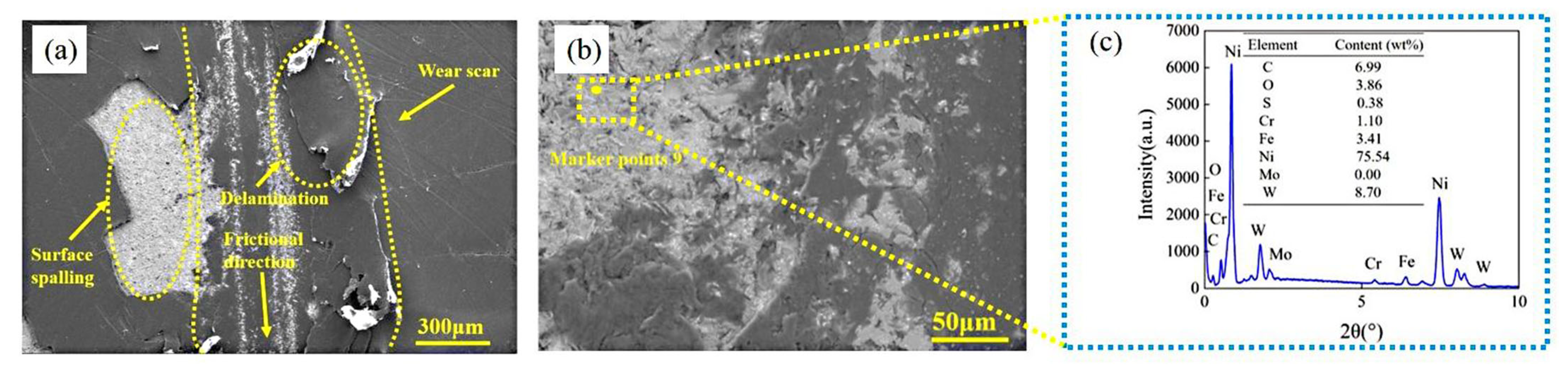 Coatings 15 00830 g020