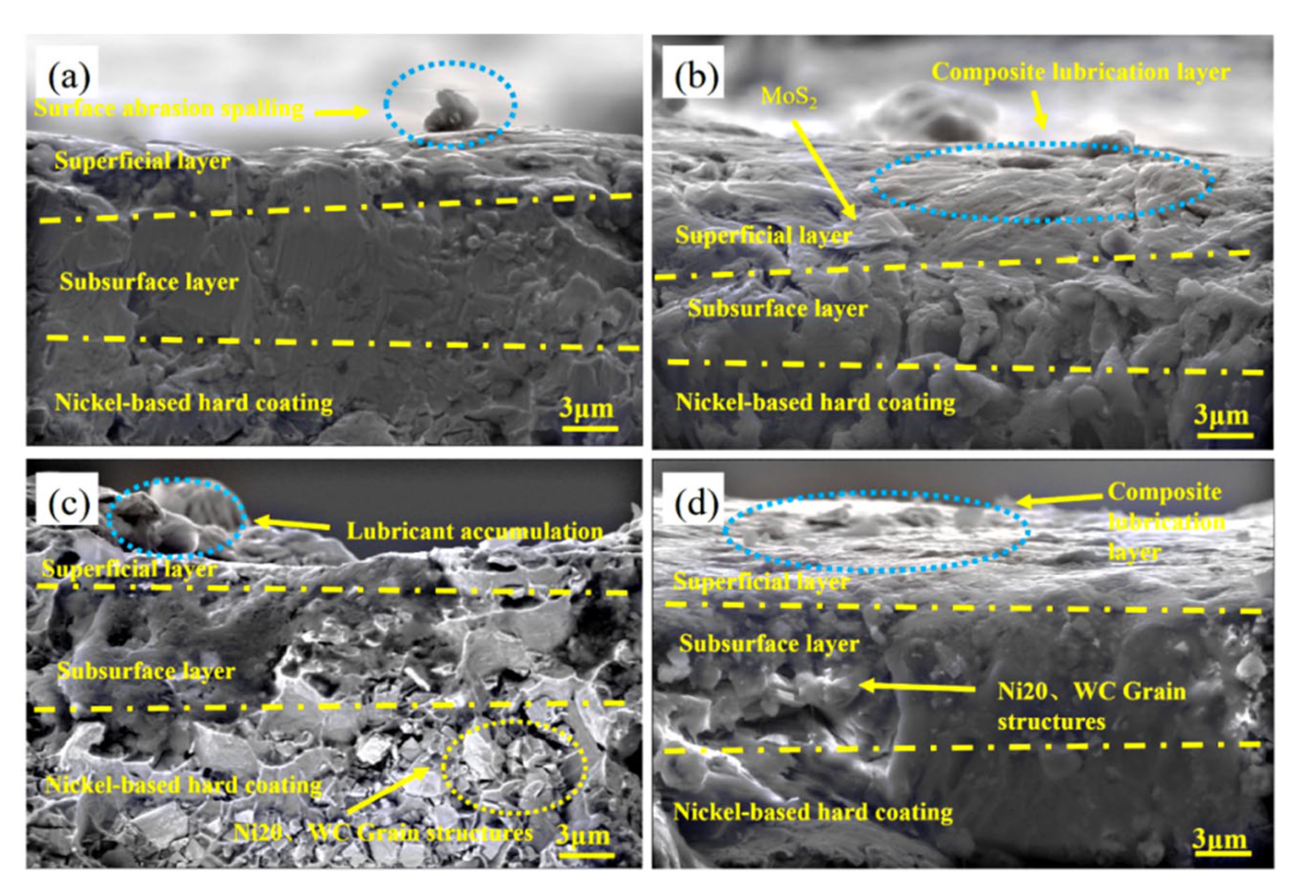 Coatings 15 00830 g022