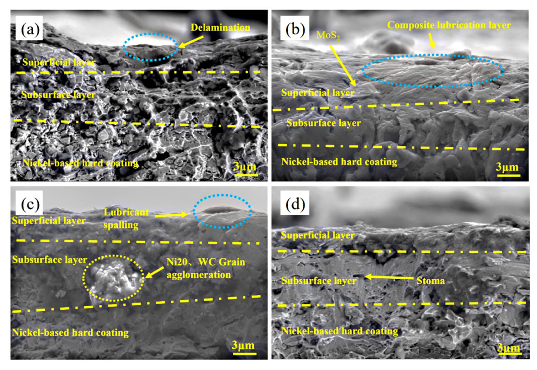 Coatings 15 00830 g023