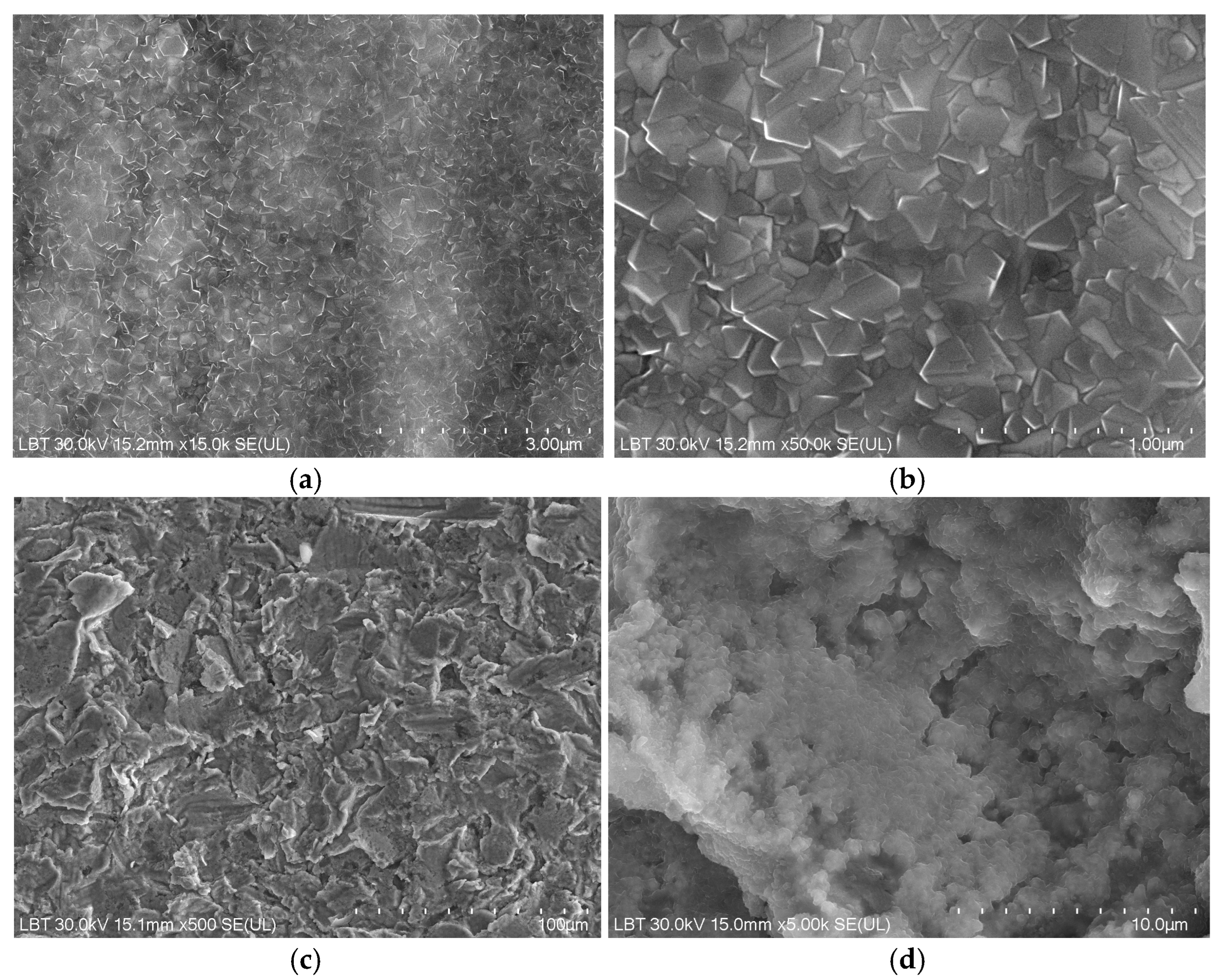 Coatings 15 00833 g008