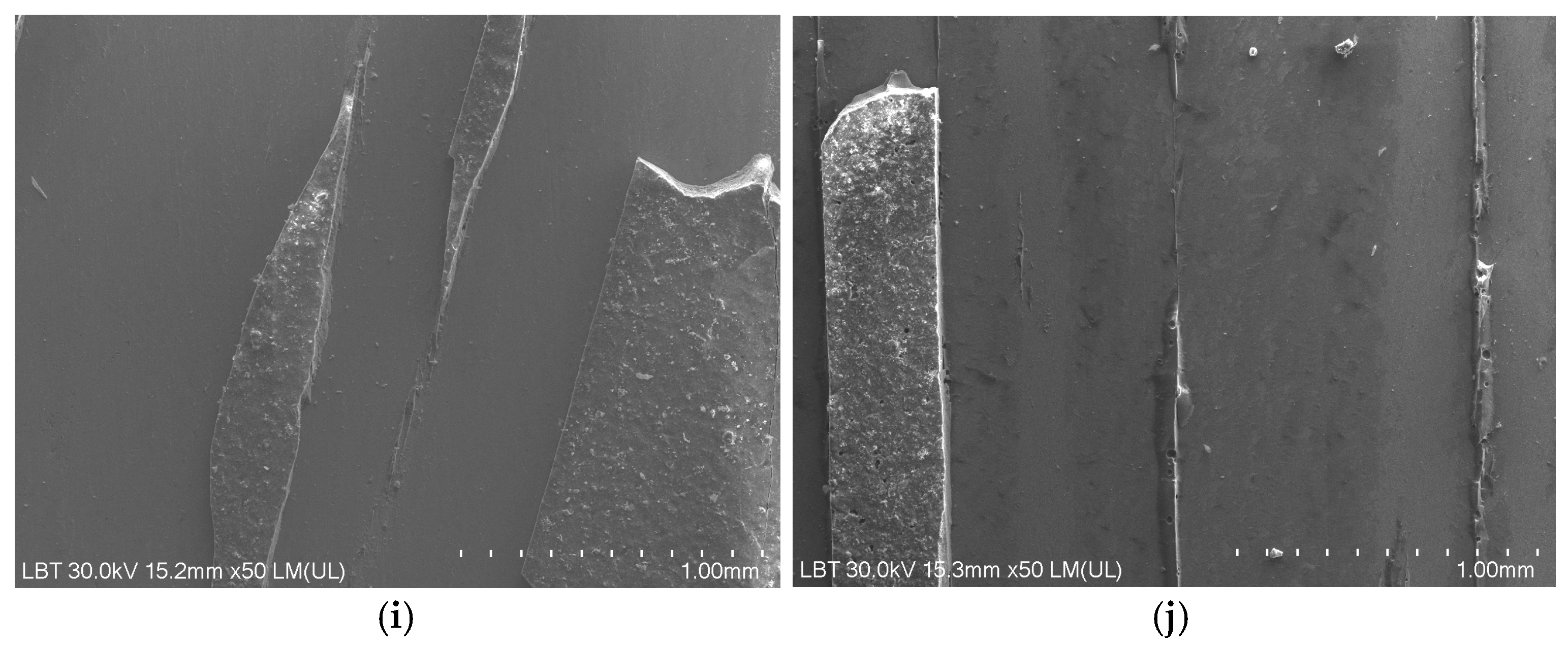 Coatings 15 00833 g009b