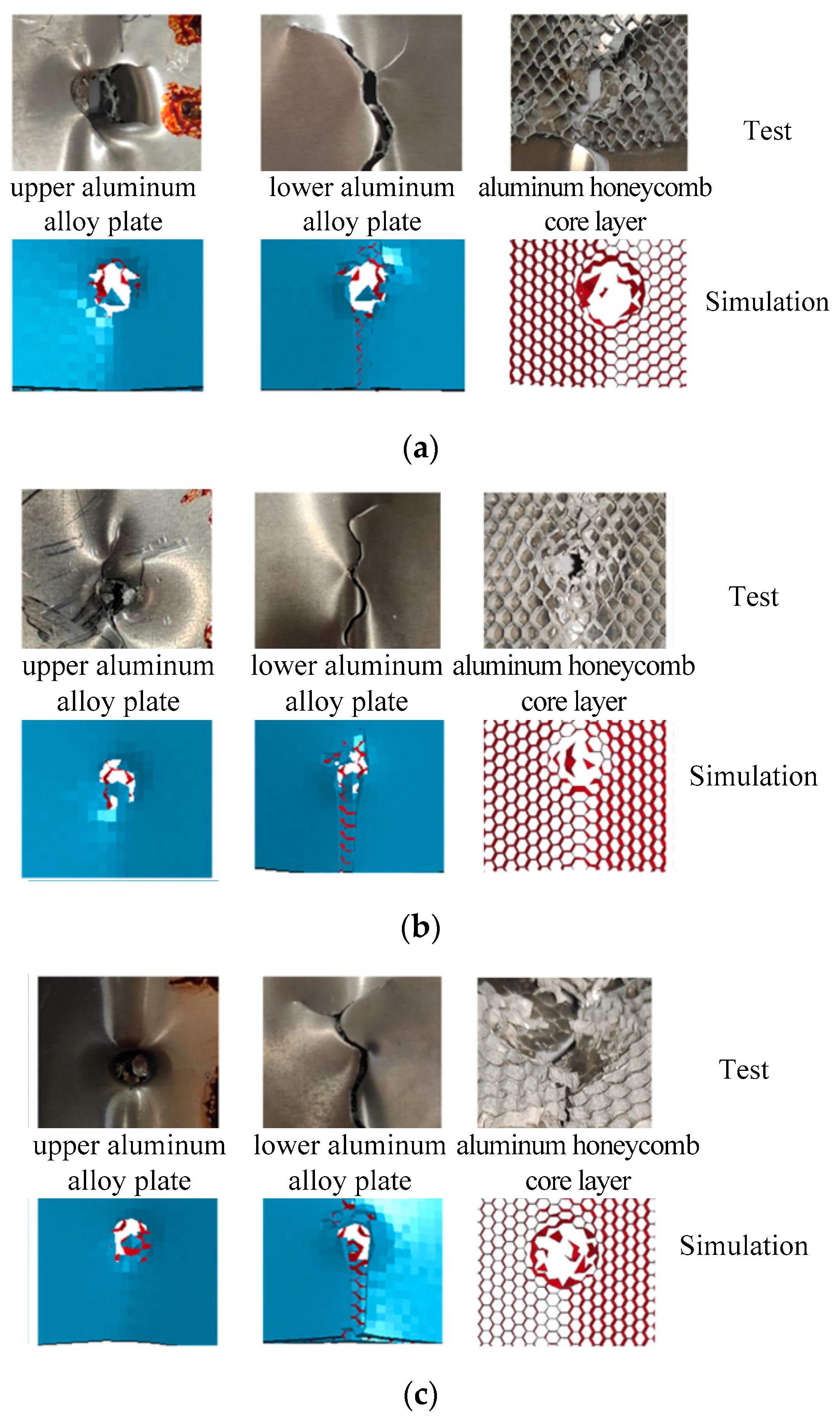 Coatings 15 00834 g005