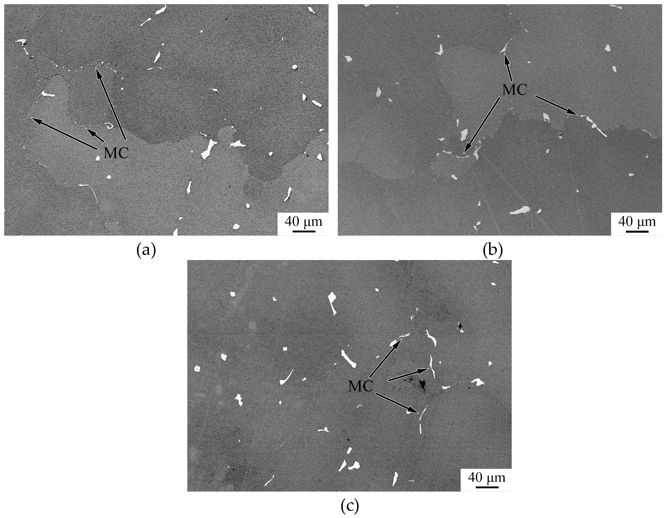 Coatings 15 00835 g002