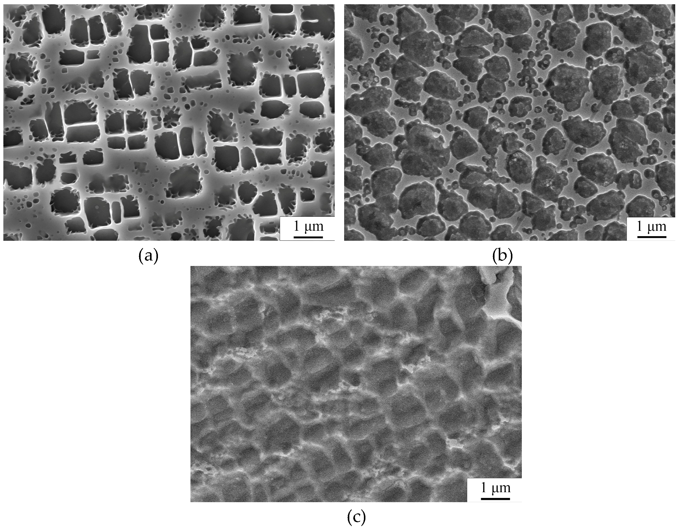 Coatings 15 00835 g003