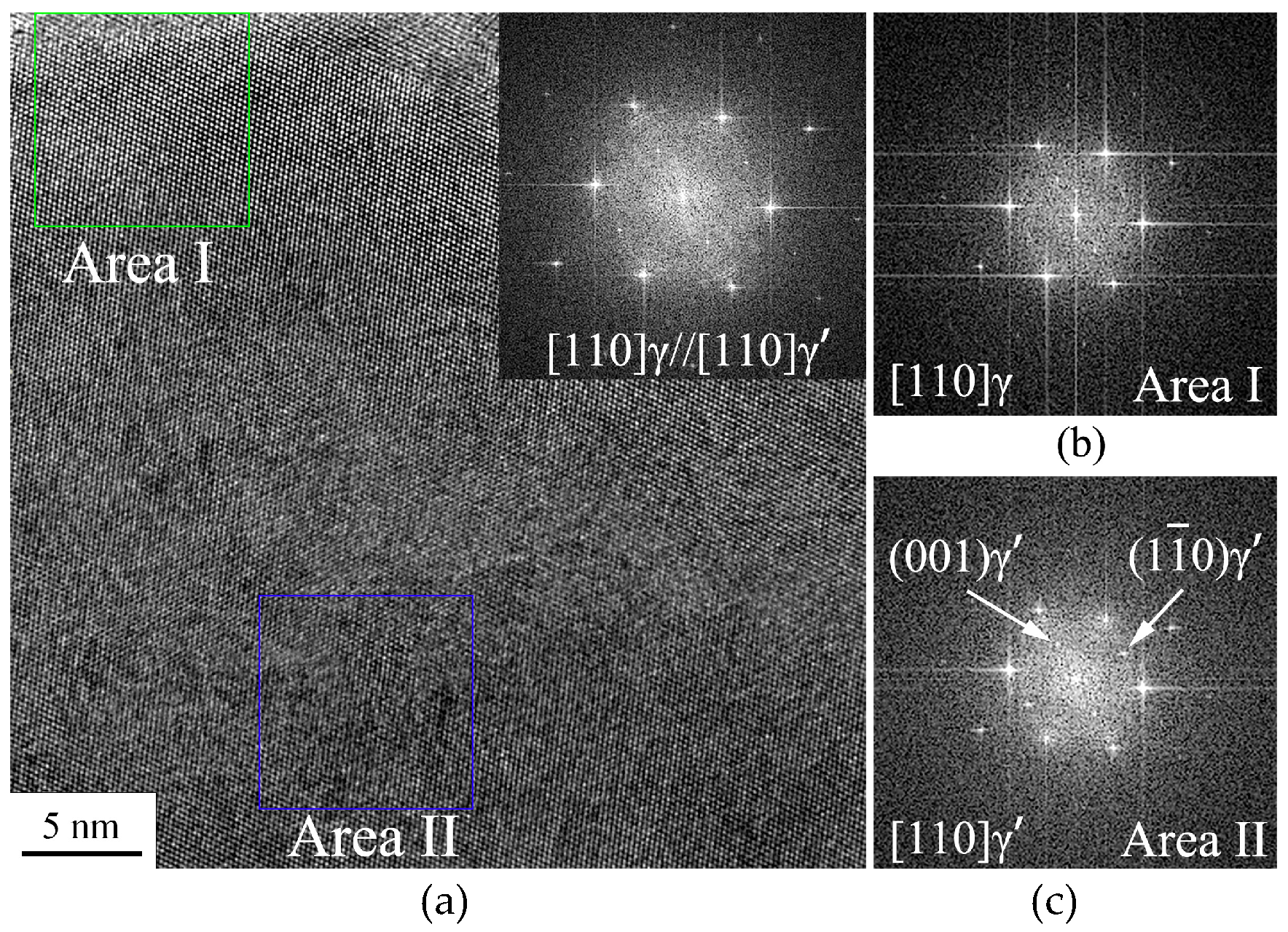 Coatings 15 00835 g005