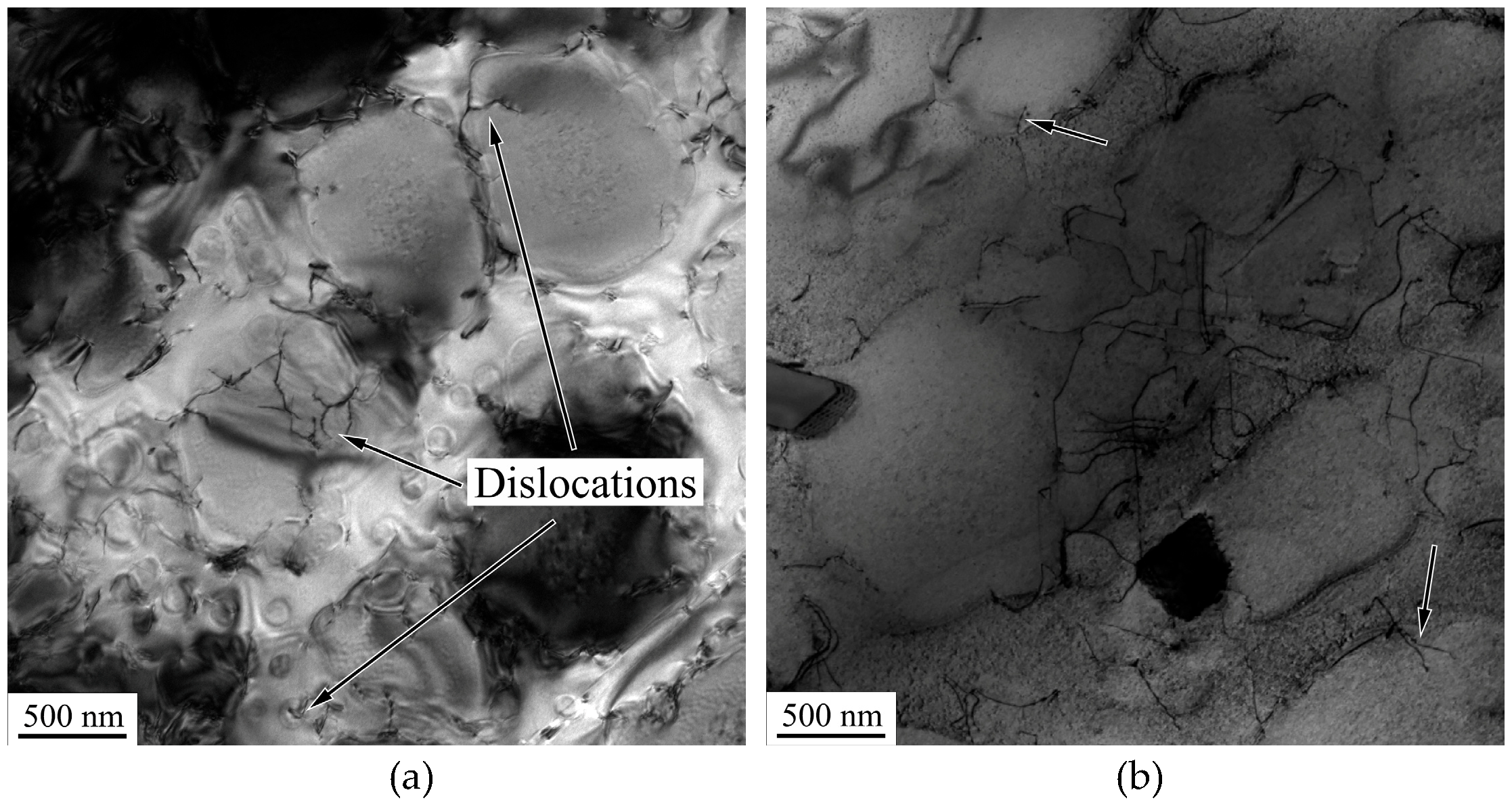 Coatings 15 00835 g009