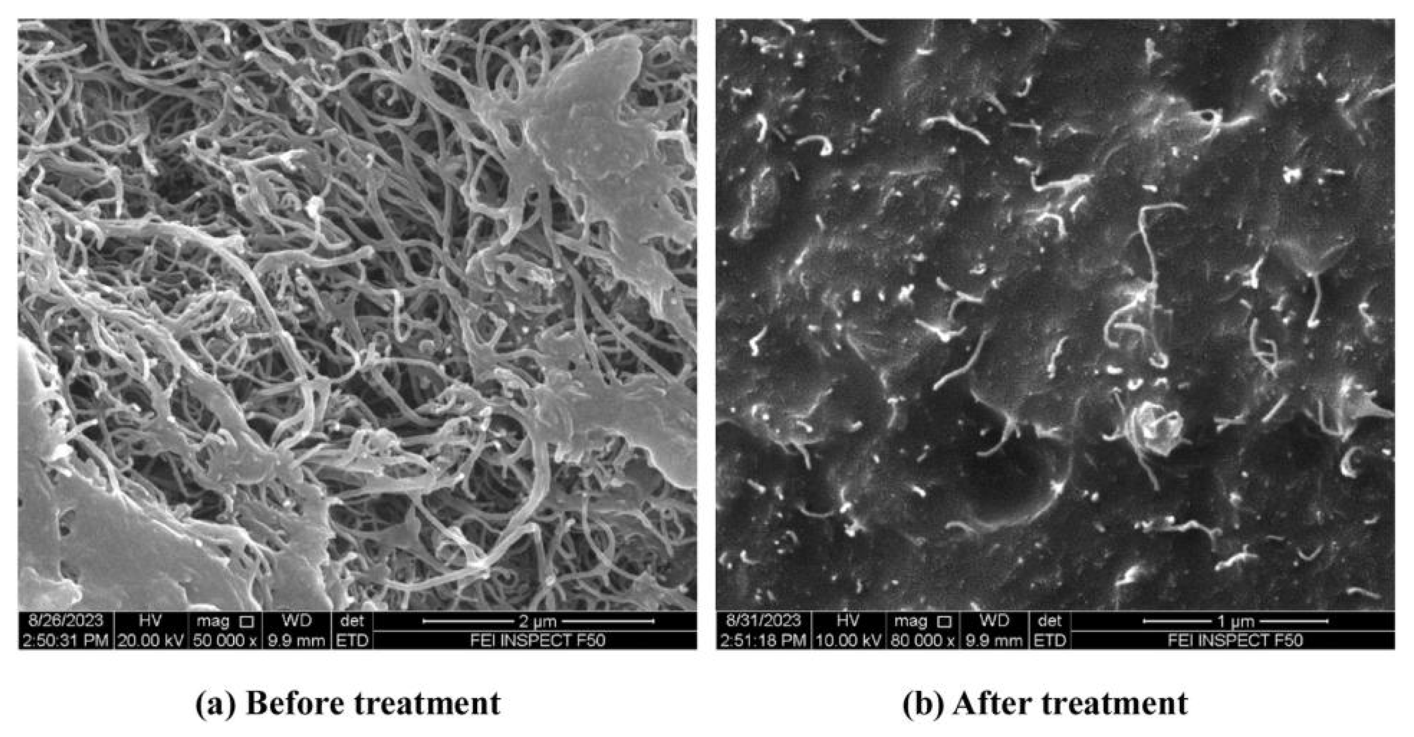 Coatings 15 00836 g016 Coatings 15 00836 g016