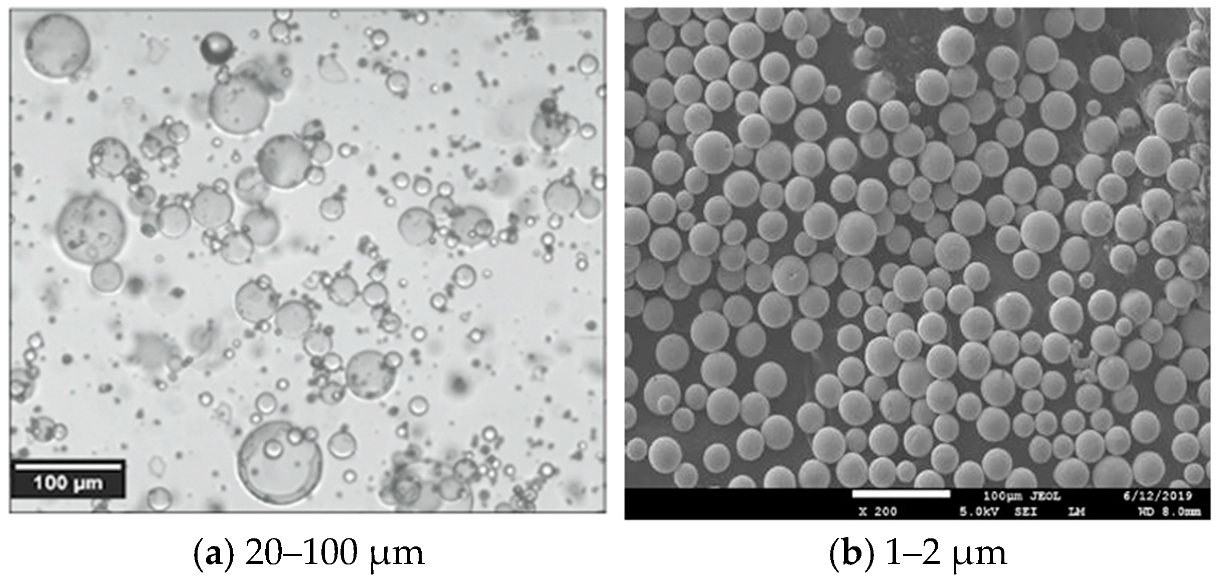 Coatings 15 00840 g001