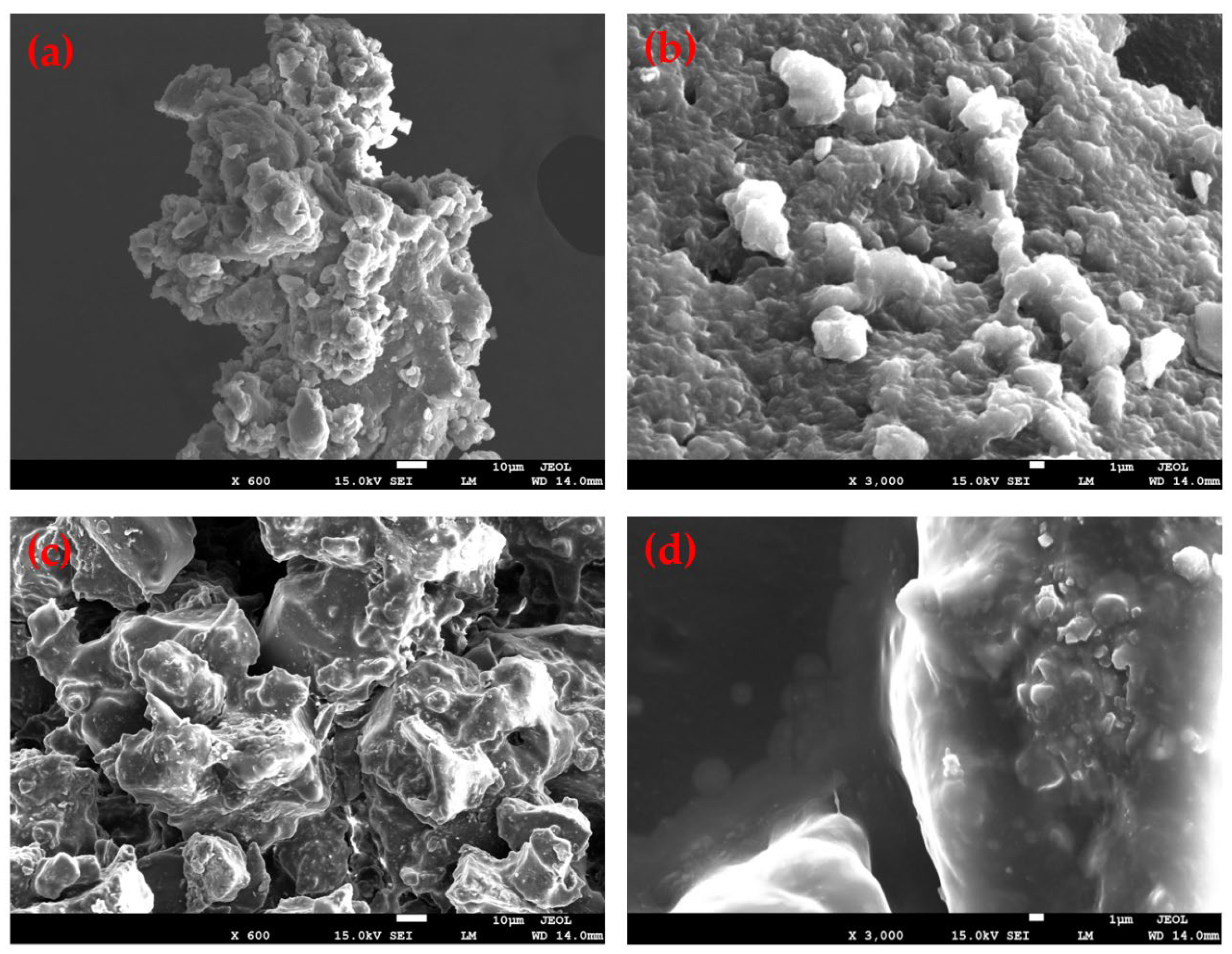 Coatings 15 00844 g005