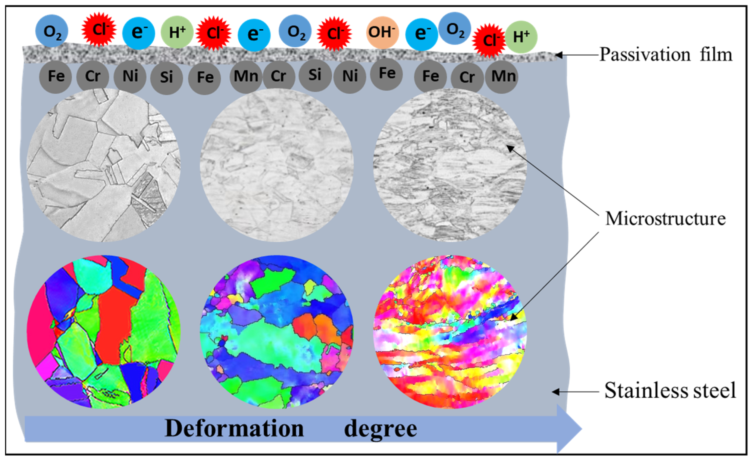 Coatings 15 00845 g011