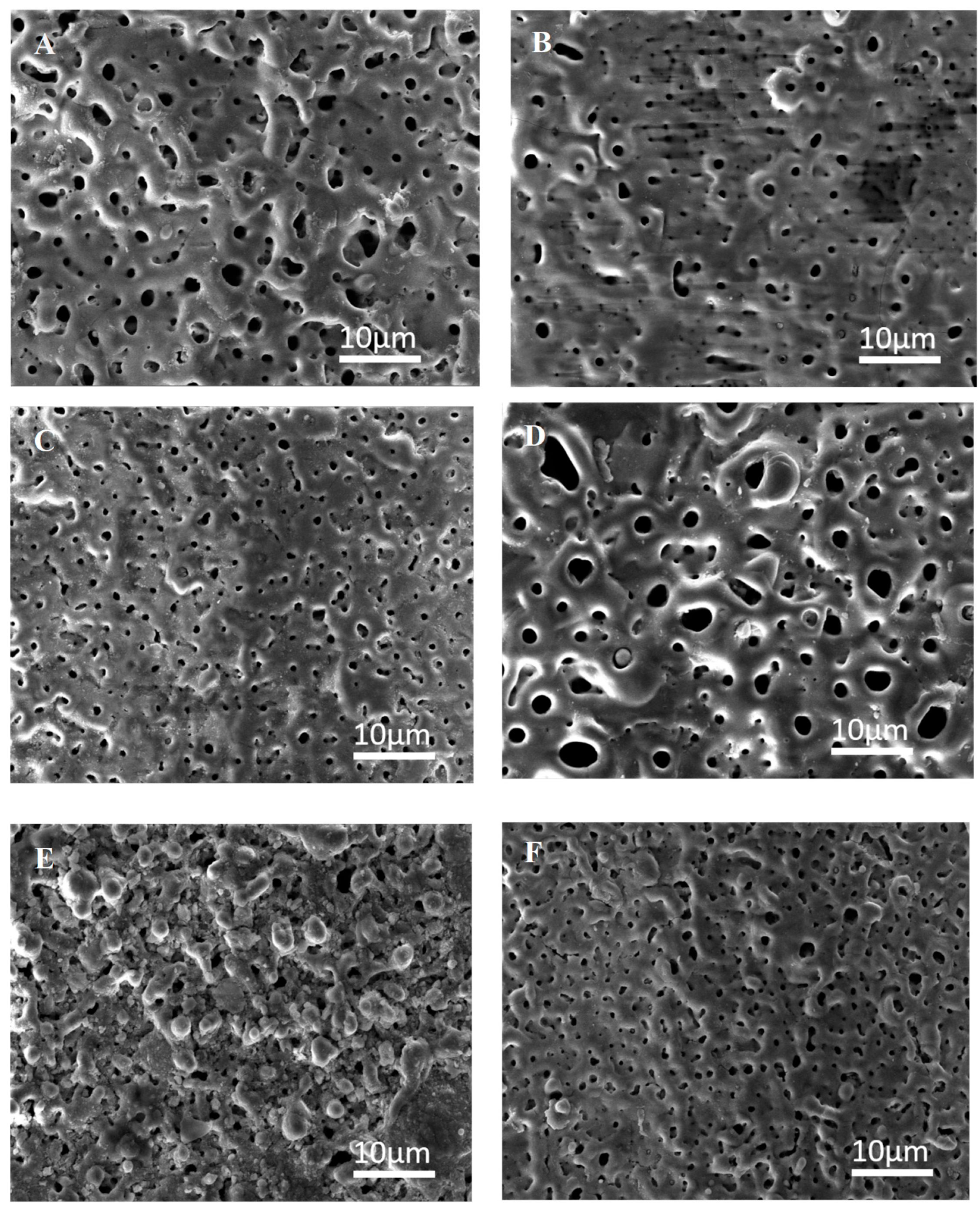 Coatings 15 00846 g004