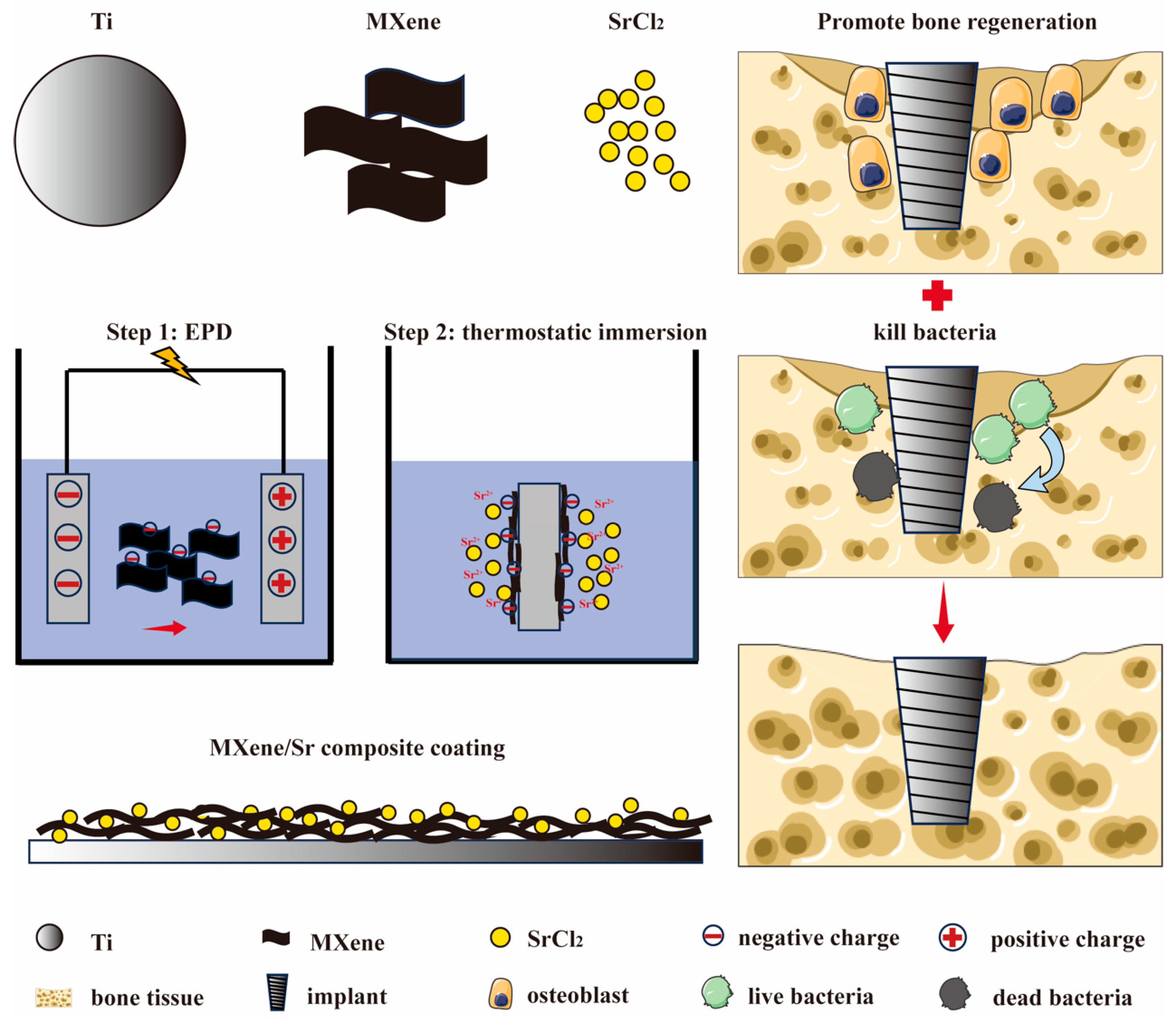 Coatings 15 00847 g001